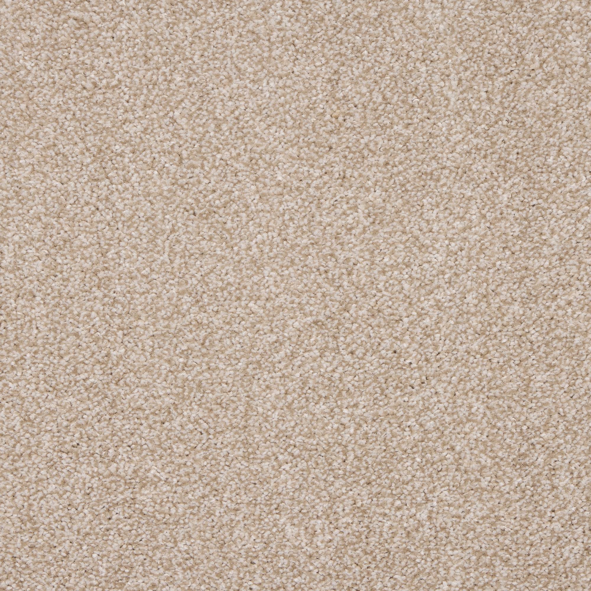 Stainfree Affluence Twist Carpet - 09 Camel