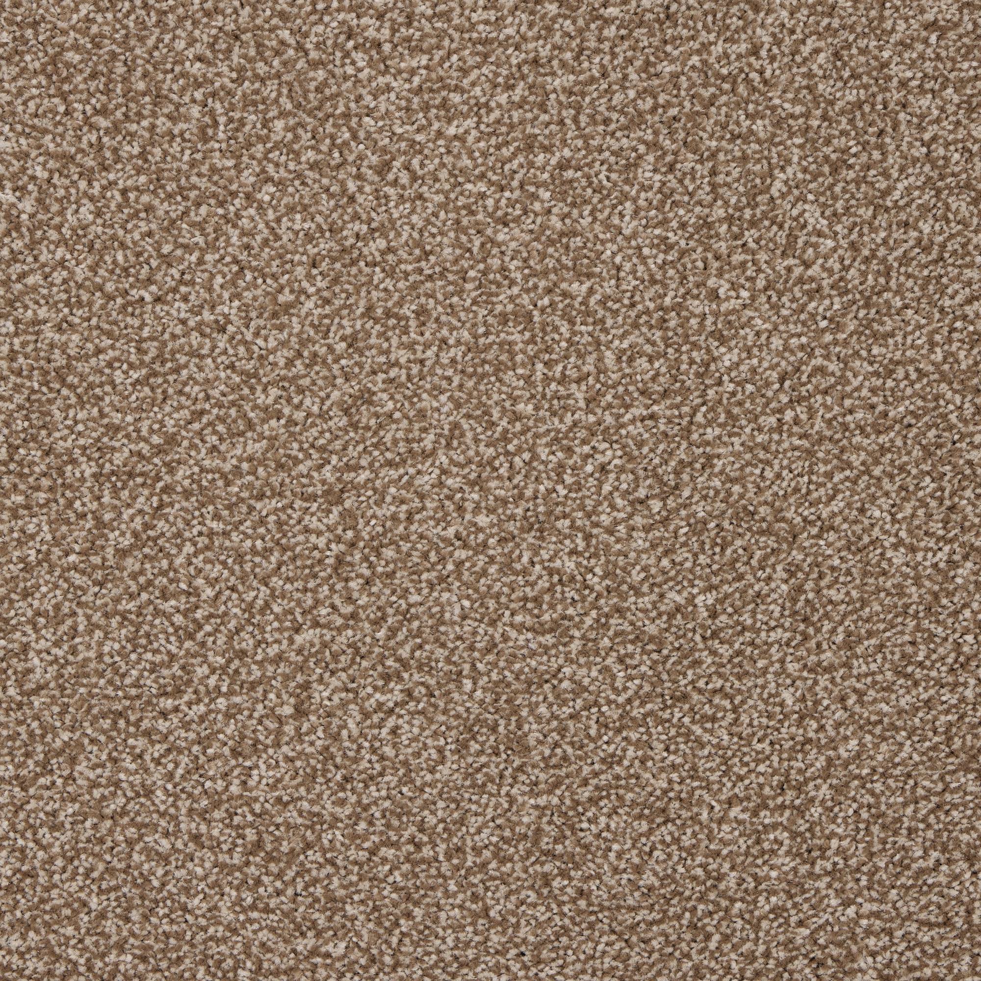 Stainfree Affluence Twist Carpet - 10 Hazelnut