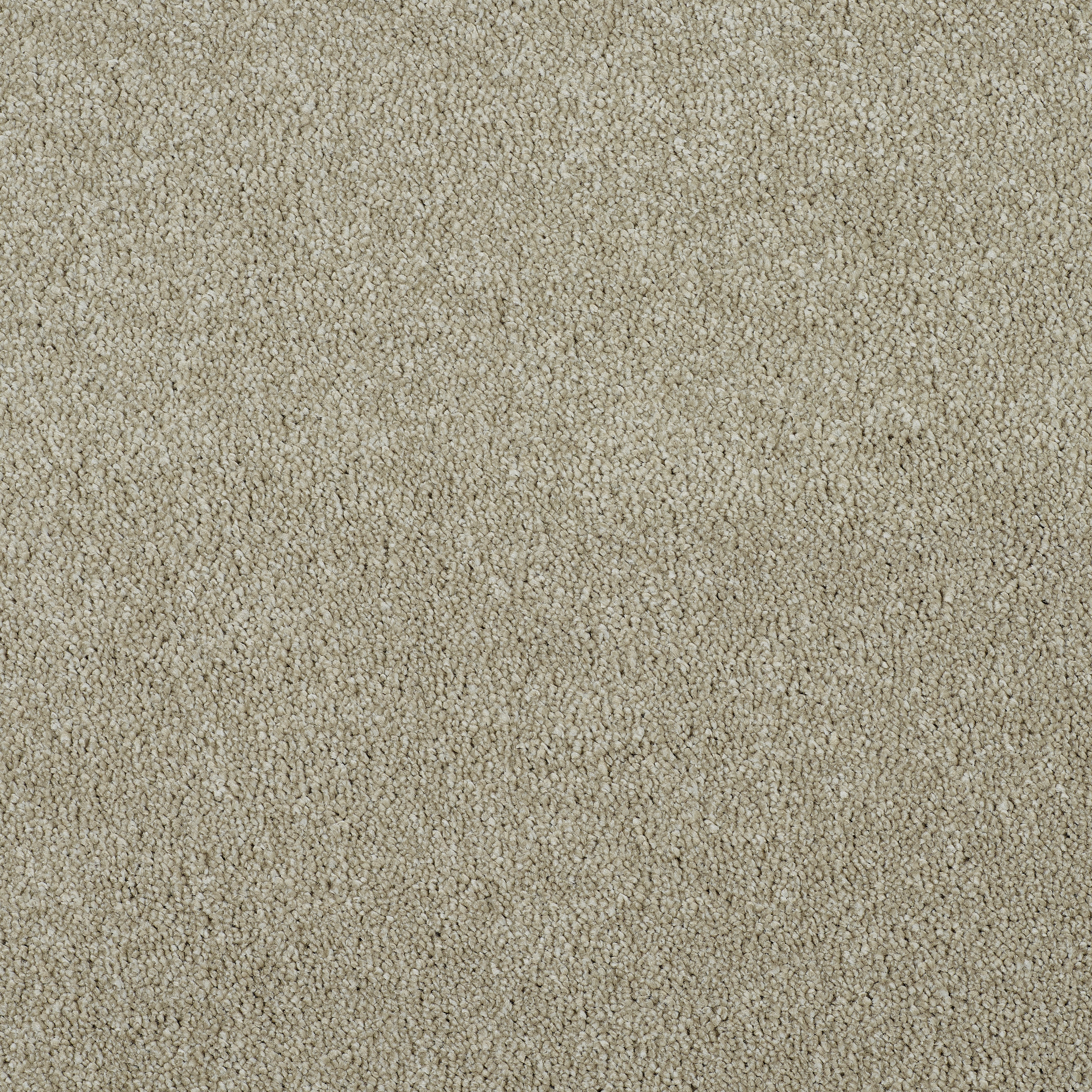 Stainfree Affluence Twist Carpet - 01 Tuscan Stainfree Affluence Twist Carpet - 01 Tuscan