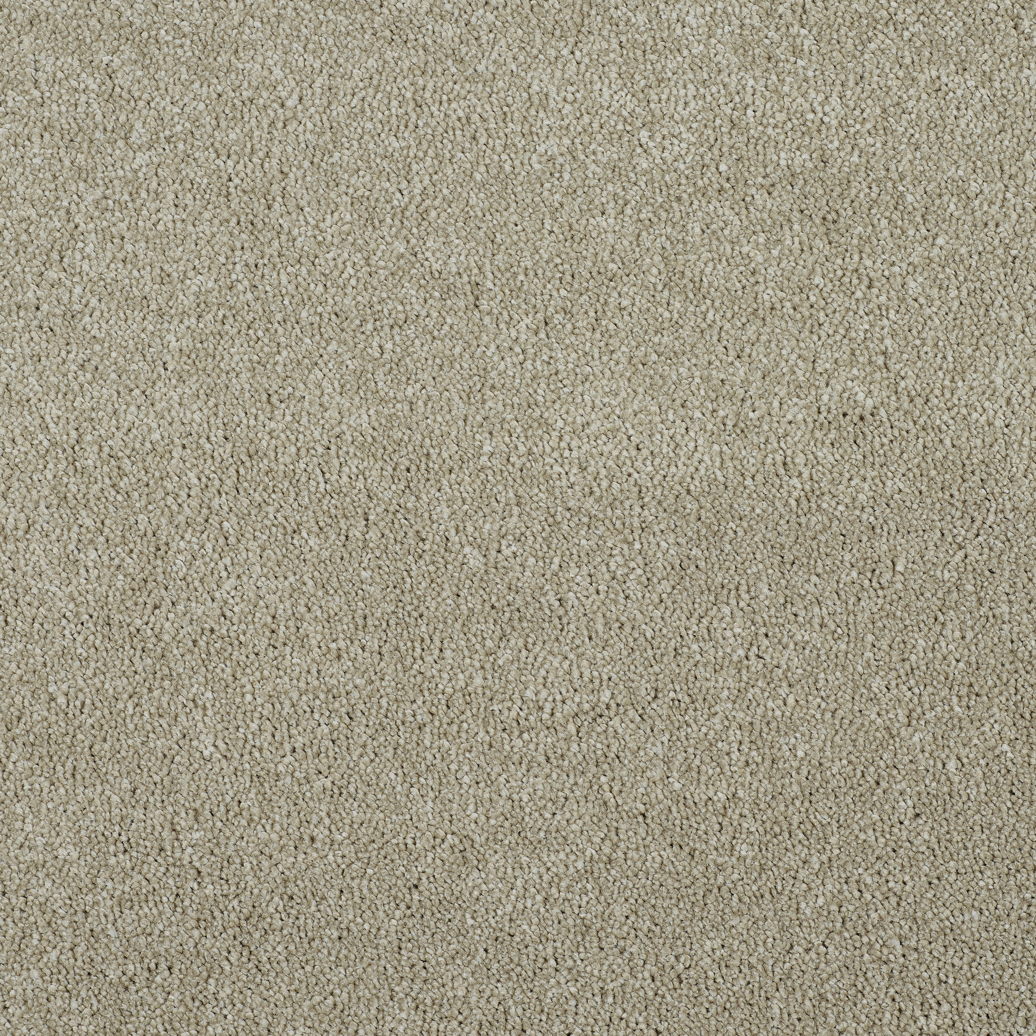 Stainfree Affluence Twist Carpet - 01 Tuscan