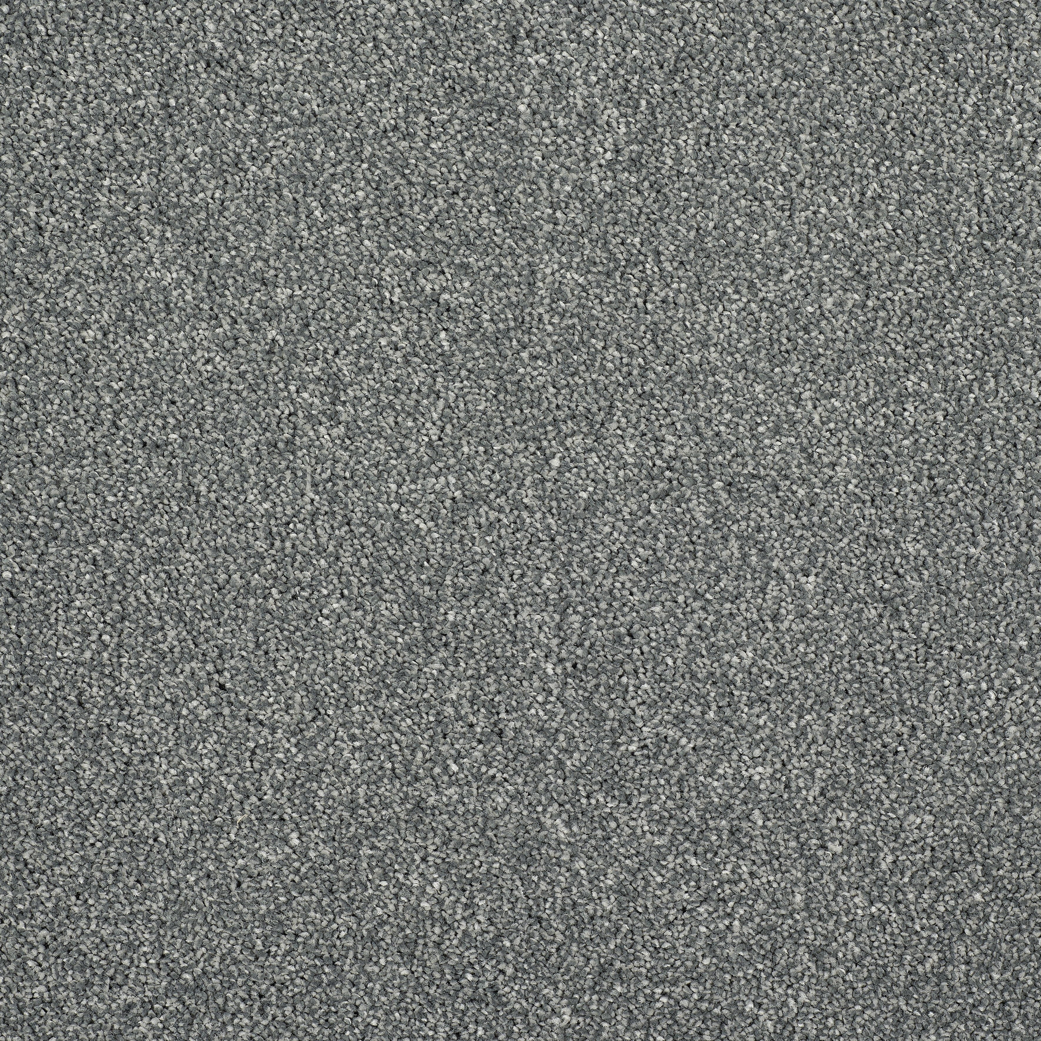 Stainfree Affluence Twist Carpet - 03 Granite