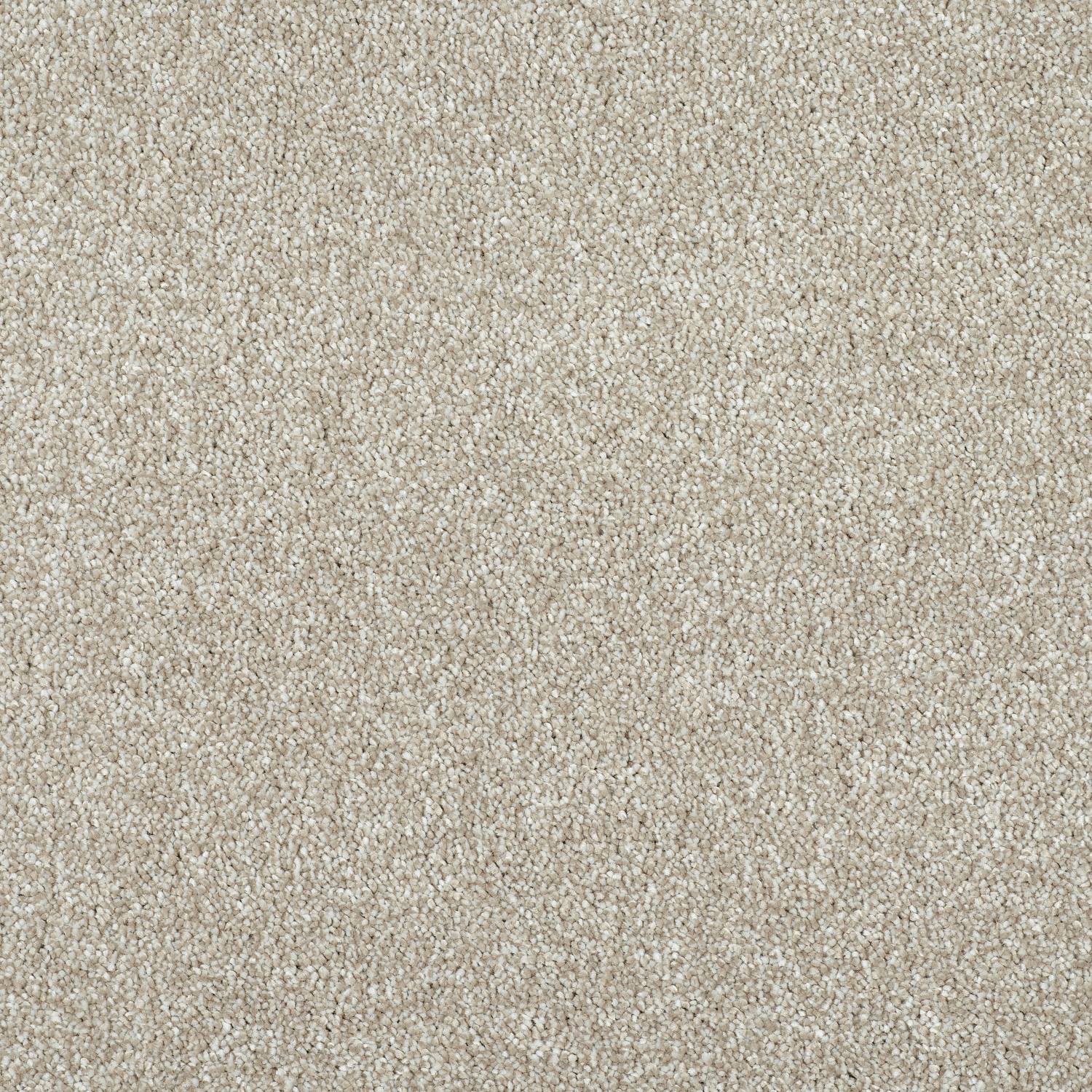 Stainfree Affluence Twist Carpet - 04 Feather