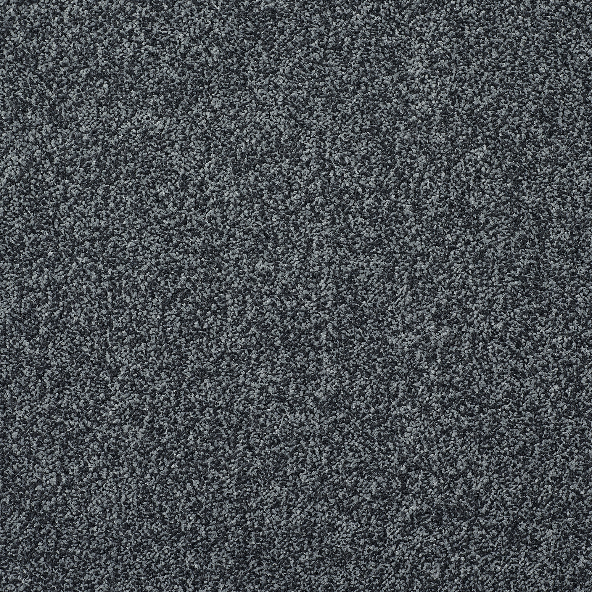 Stainfree Affluence Twist Carpet - 05 Platinum