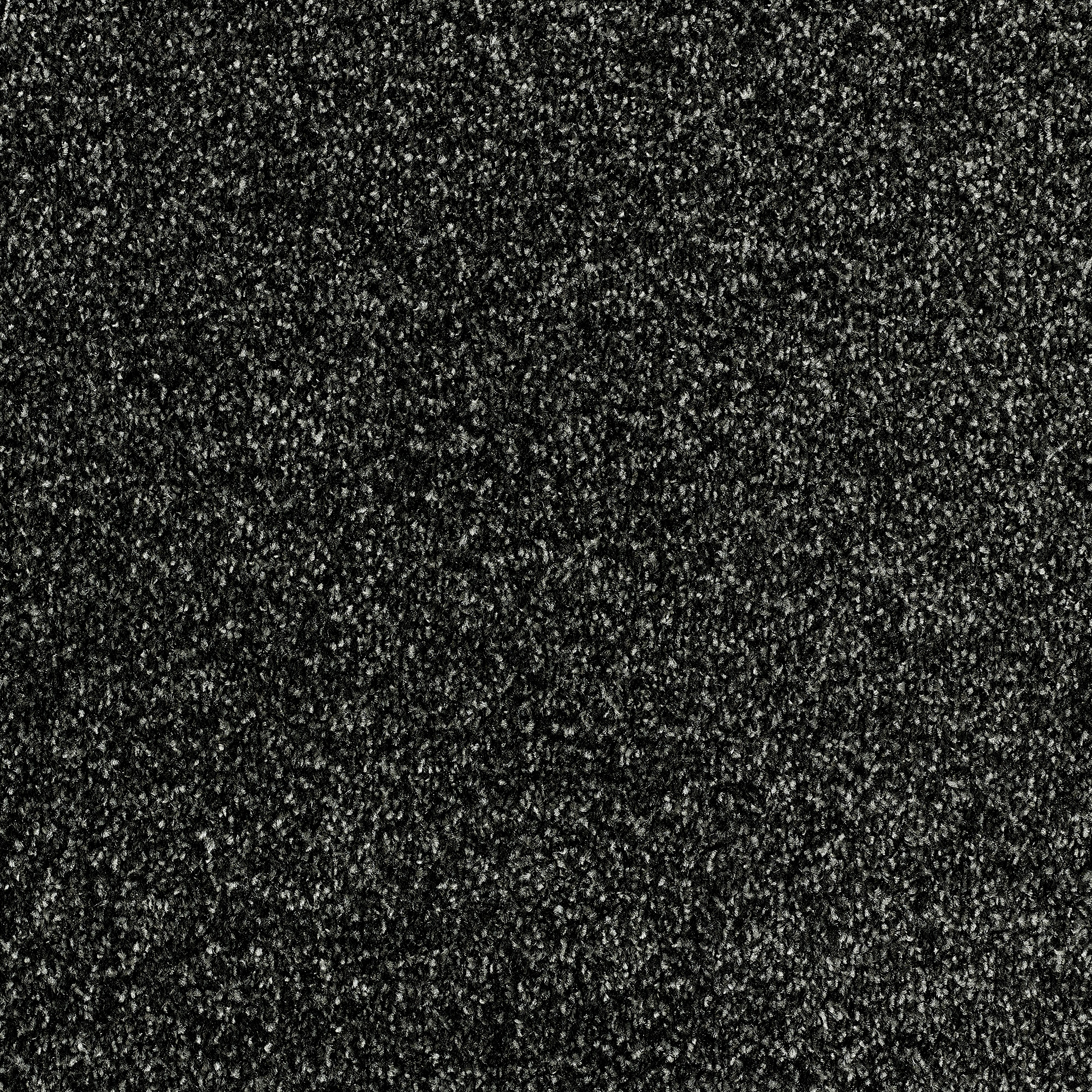 Stainfree Affluence Twist Carpet - 07 Anthracite