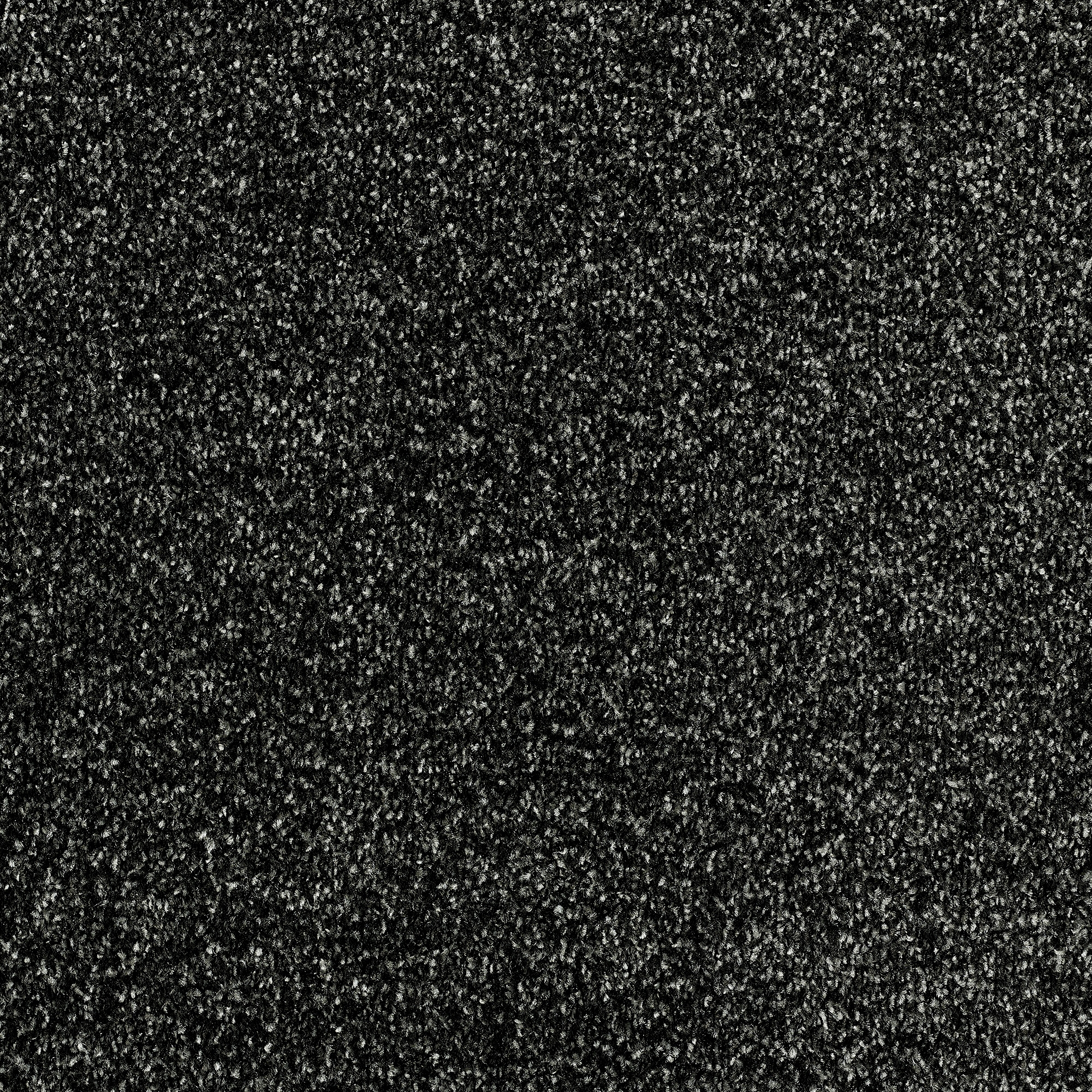 Stainfree Affluence Twist Carpet - 07 Anthracite Stainfree Affluence Twist Carpet - 07 Anthracite