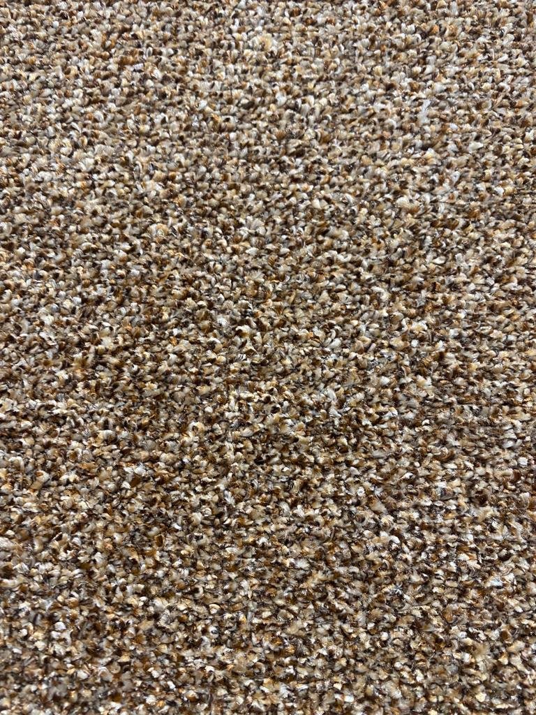Stainfree Cambridge Saxony Carpet - Rust