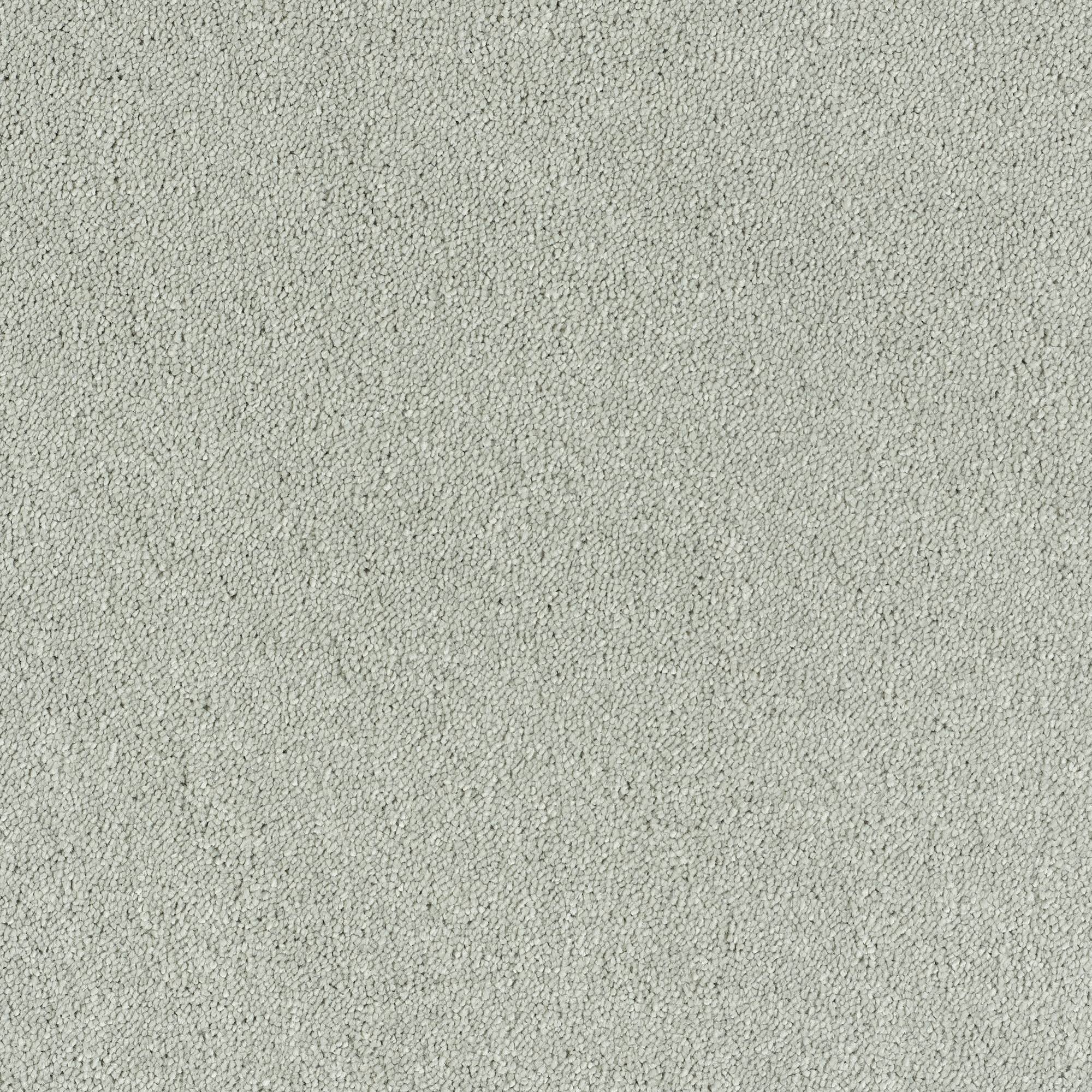 Invincible Glamour Super Soft Saxony Carpet - 05 Mouse
