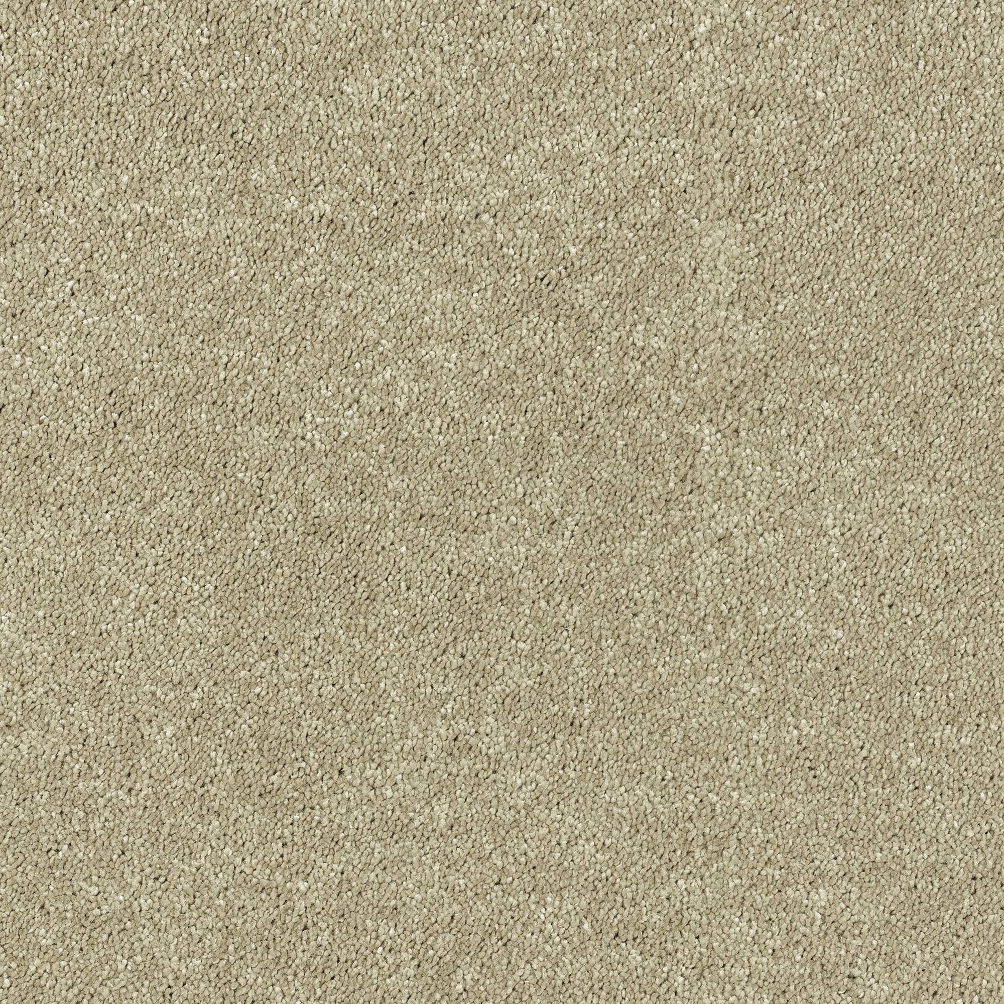 Invincible Glamour Super Soft Saxony Carpet - 08 Driftwood