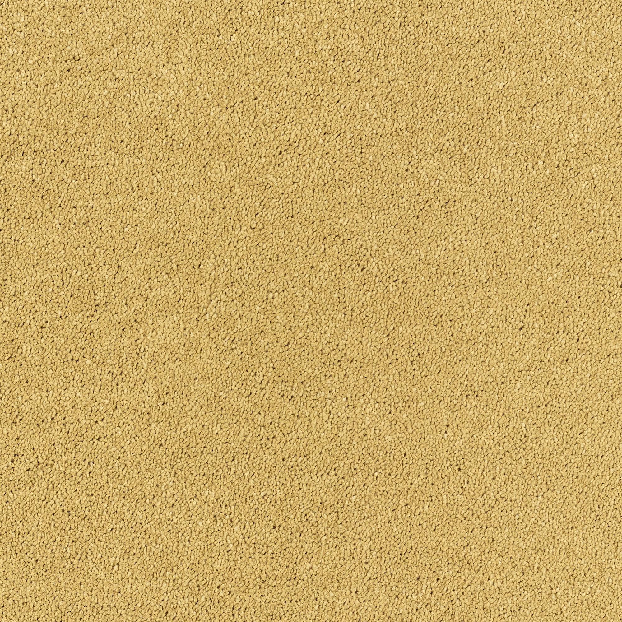 Invincible Glamour Super Soft Saxony Carpet - 15 Buttercup