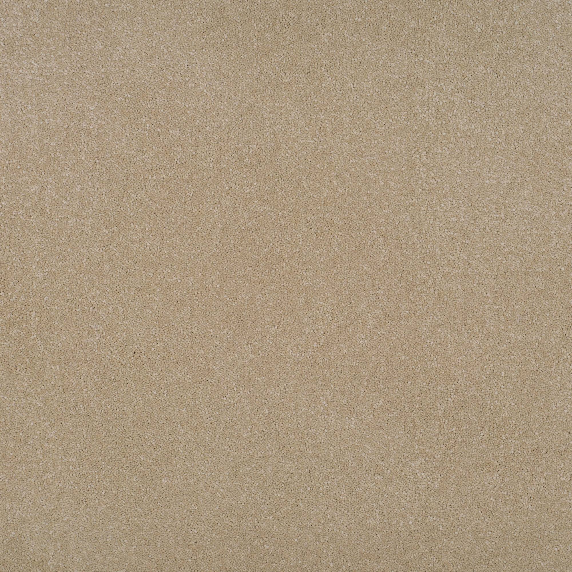Grace Luxurious Twist Carpet - Cherish GR16