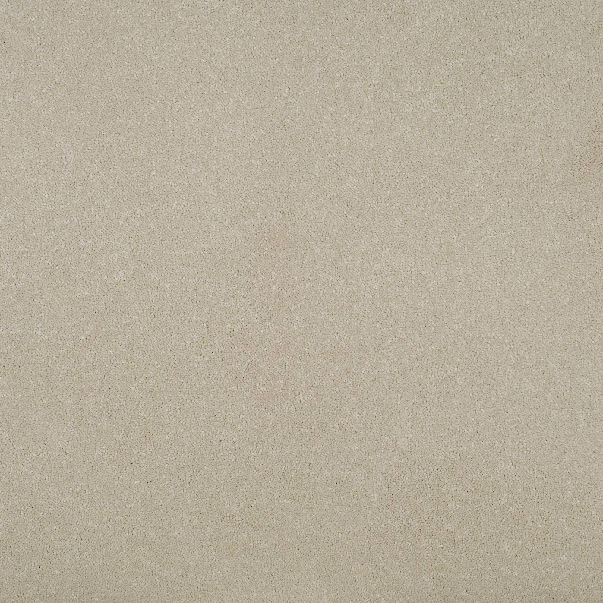 Grace Luxurious Twist Carpet - Divine GR11