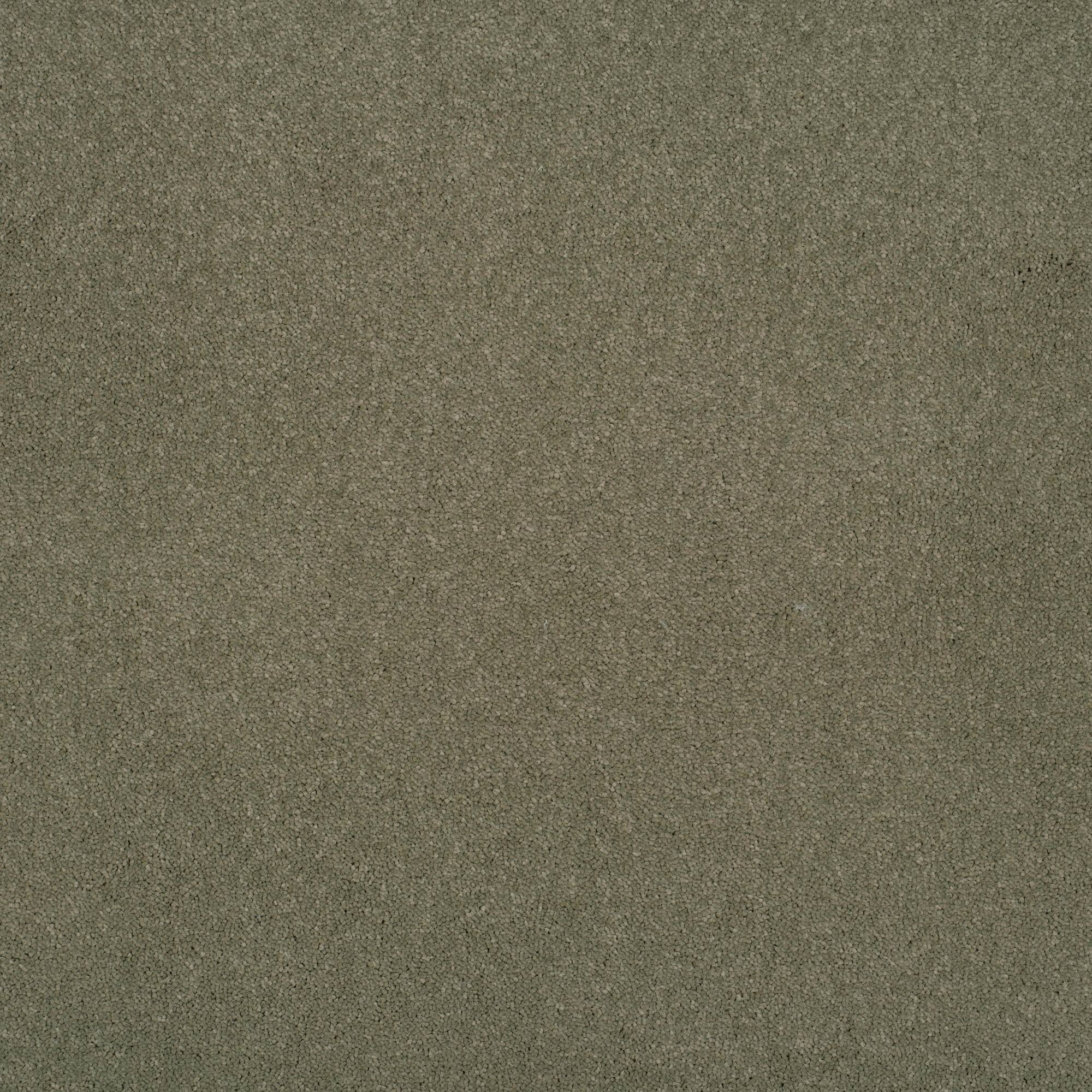 Grace Luxurious Twist Carpet - Green Haze GR05