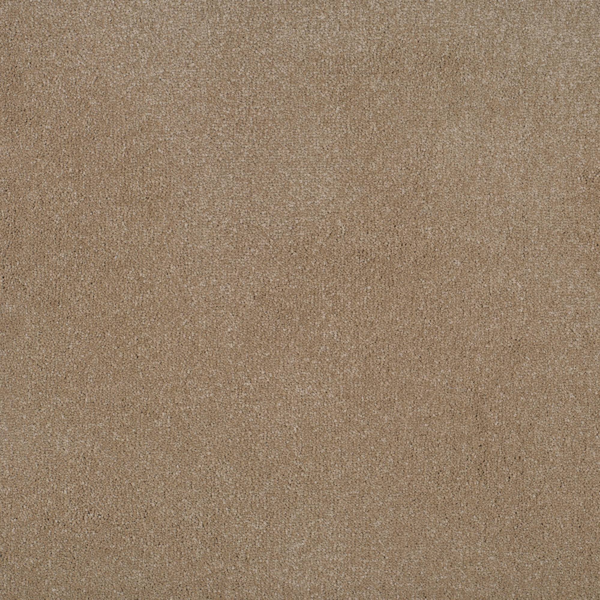 Grace Luxurious Twist Carpet - Lion Heart GR10
