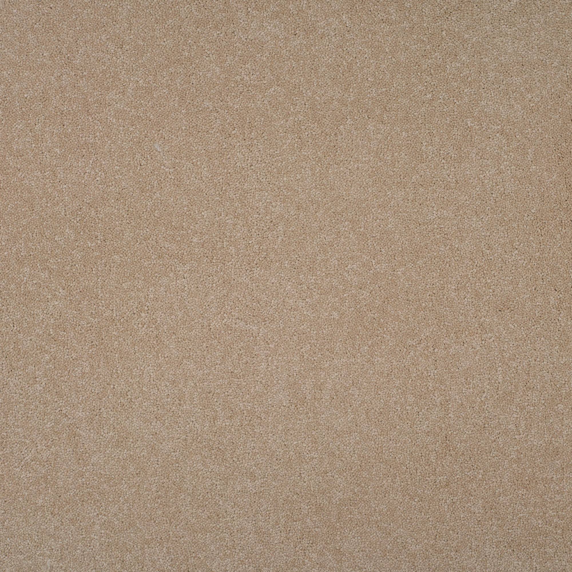 Grace Luxurious Twist Carpet - Radiant GR07
