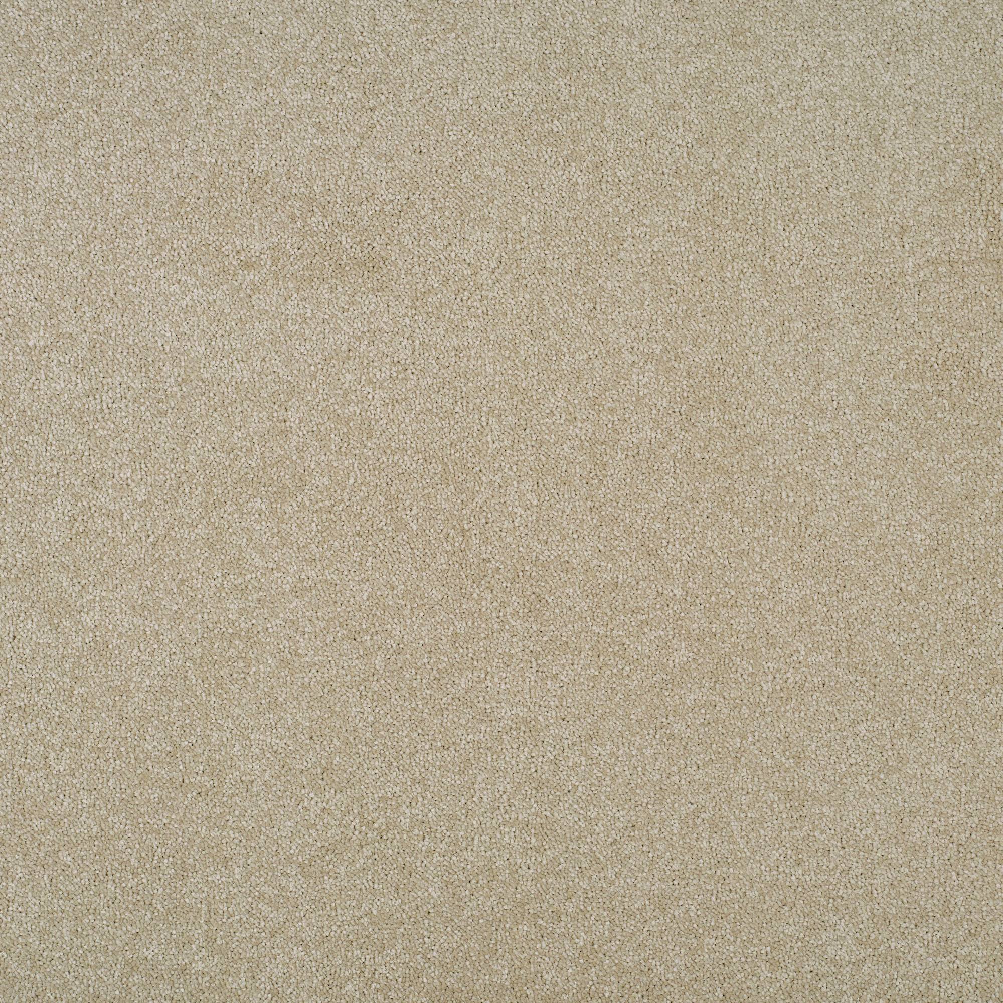 Grace Luxurious Twist Carpet - Shimmer GR03
