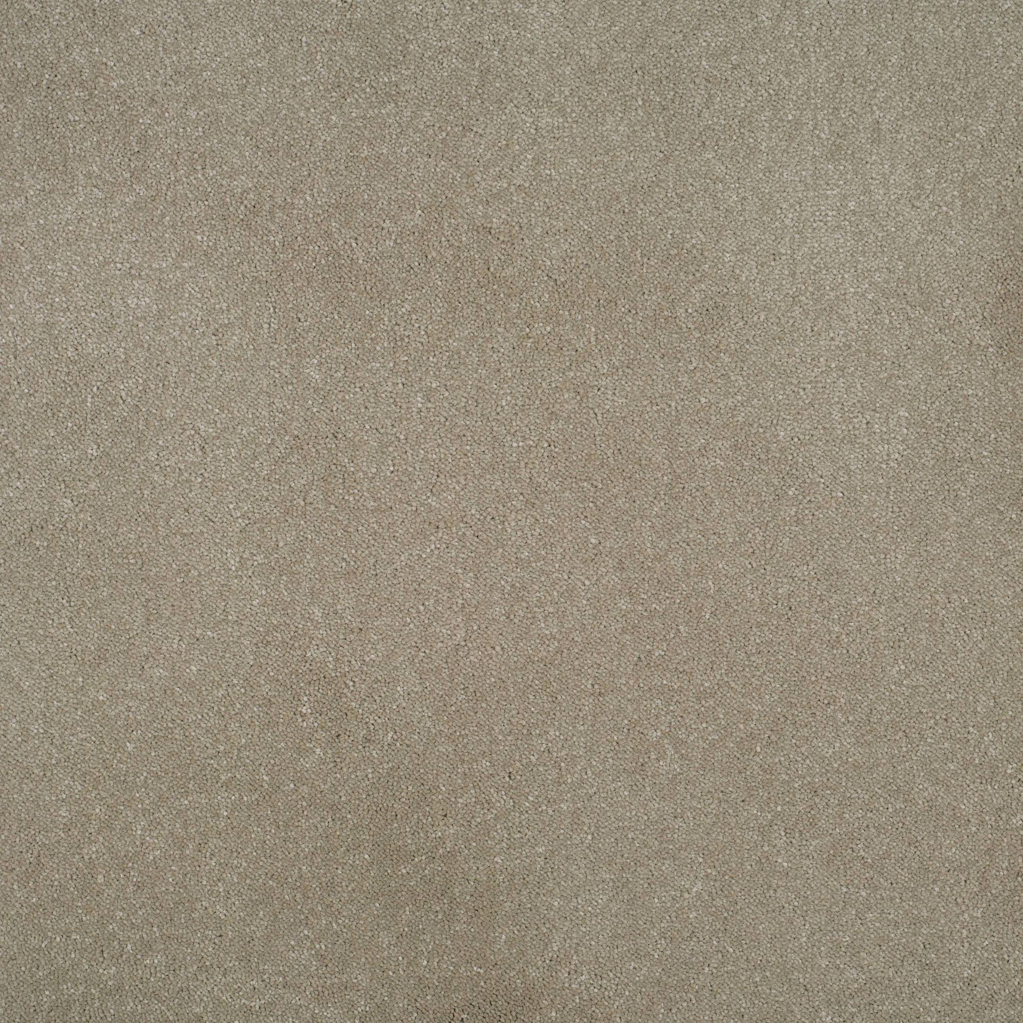 Grace Luxurious Twist Carpet - Valour GR13