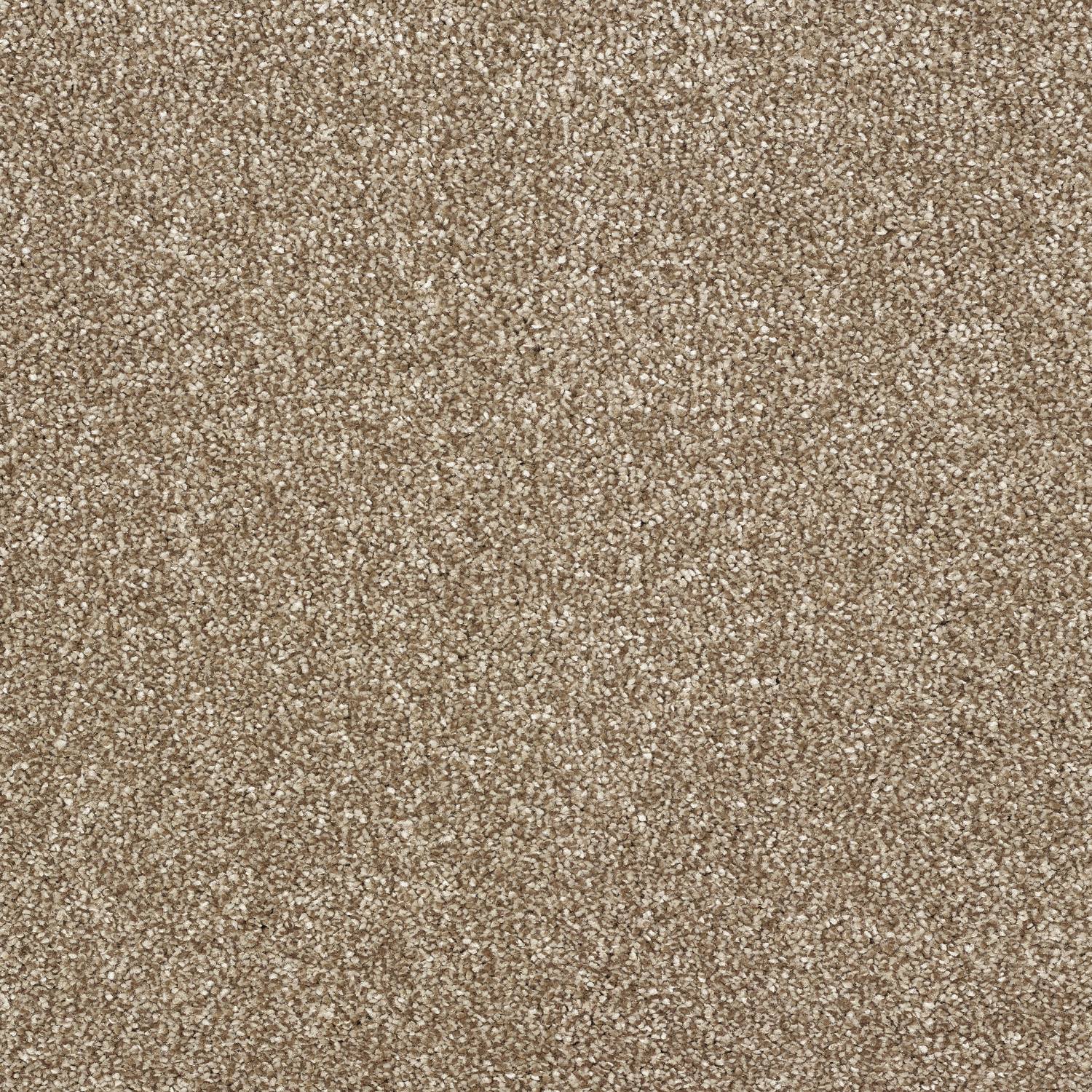 Stainfree Panache Twist Carpet - 01 Cappuccino Stainfree Panache Twist Carpet - 01 Cappuccino