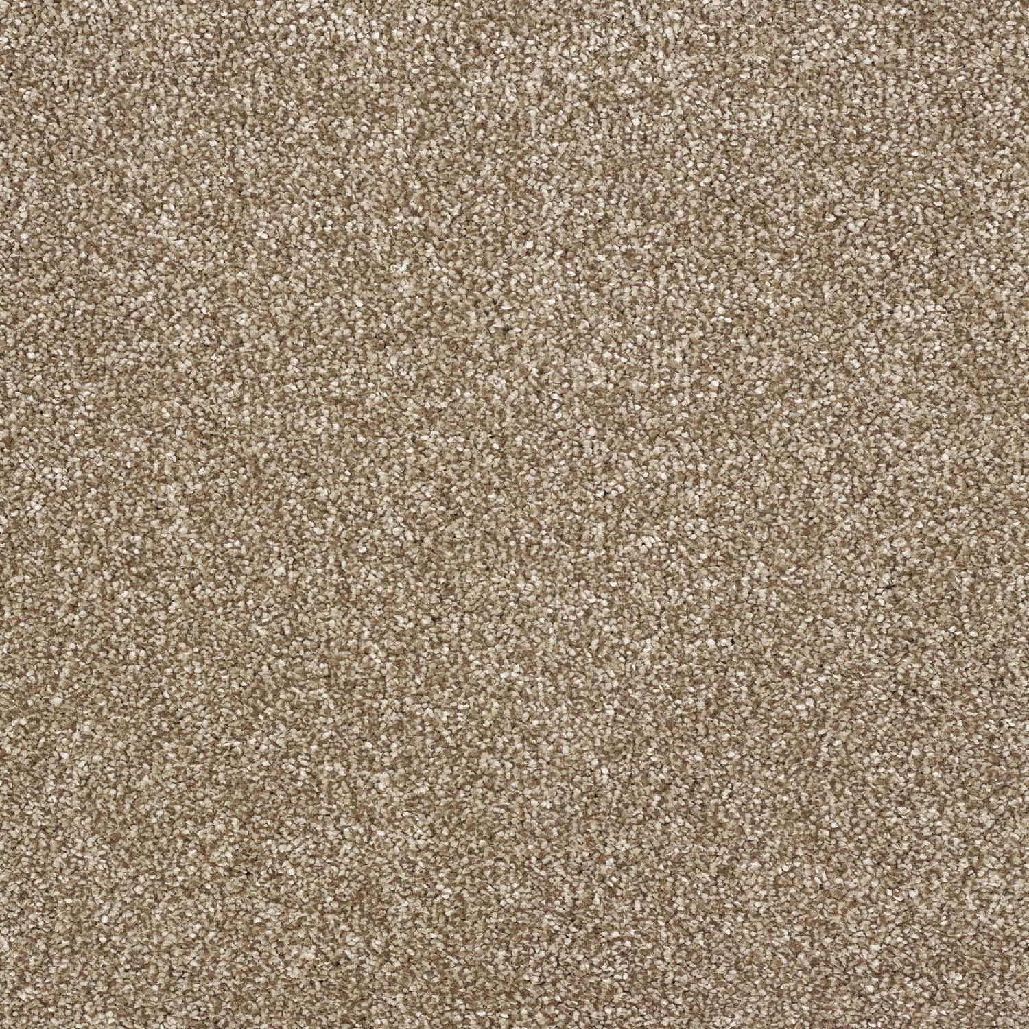 Stainfree Panache Twist Carpet - 01 Cappuccino