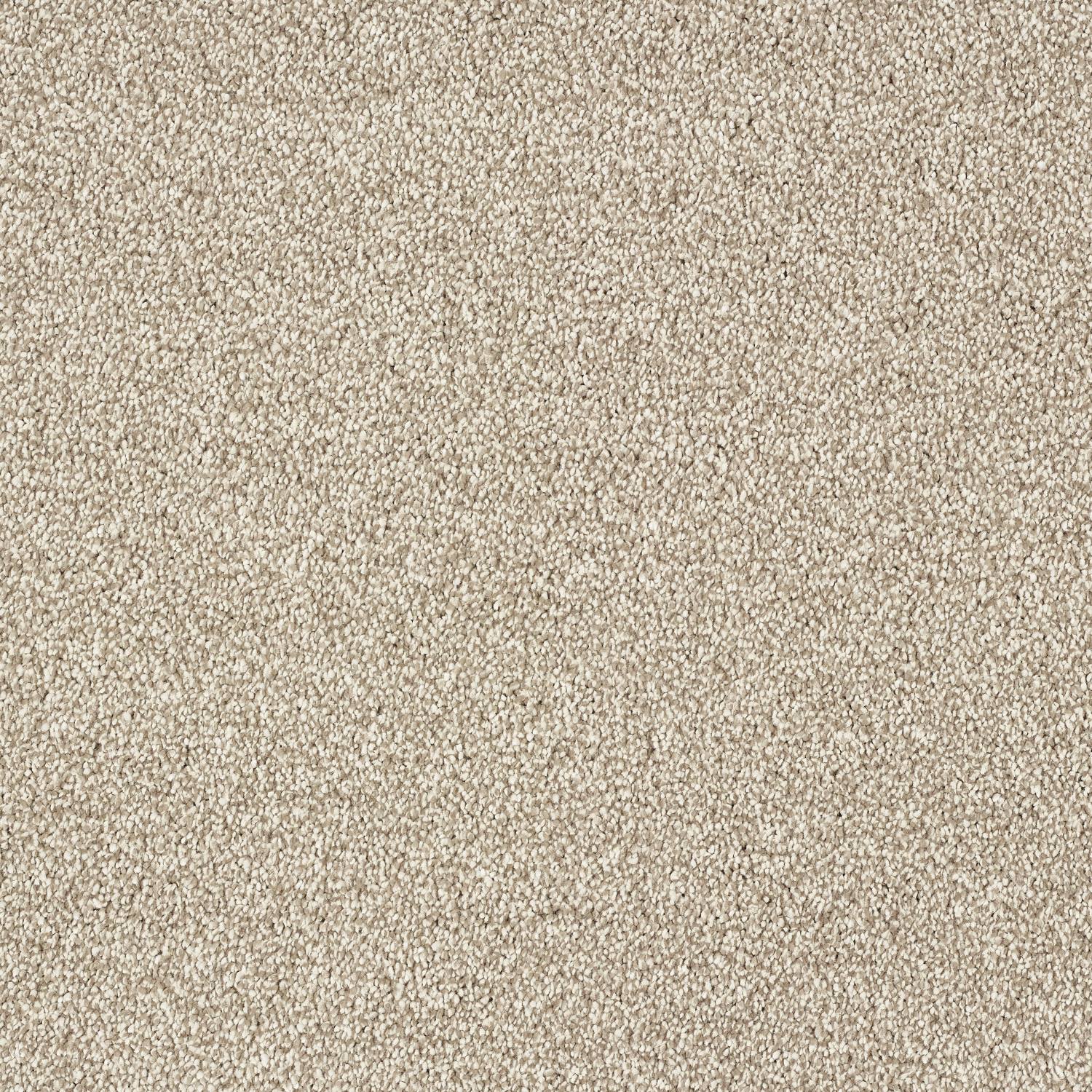Stainfree Panache Twist Carpet - 02 Nutmeg