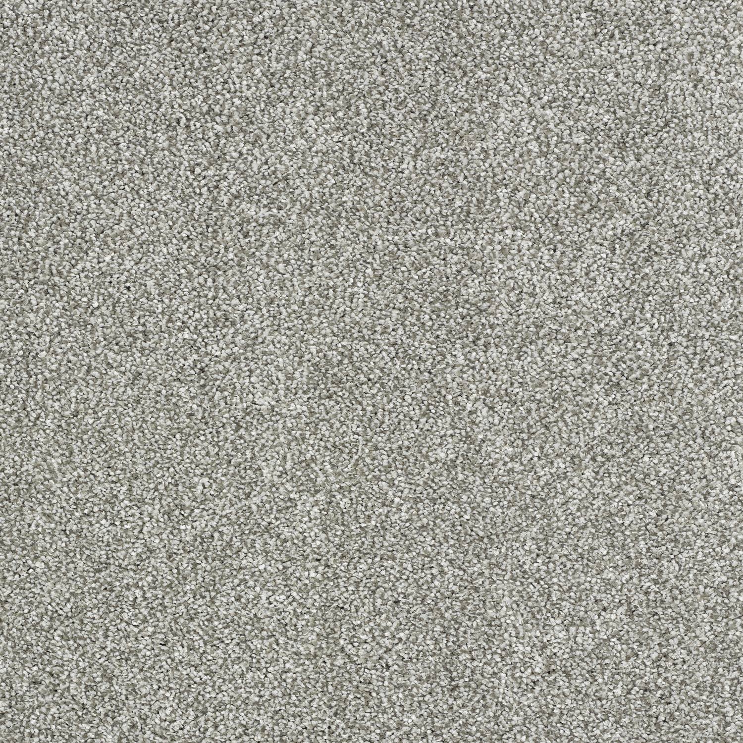 Stainfree Panache Twist Carpet - 05 Dove Grey
