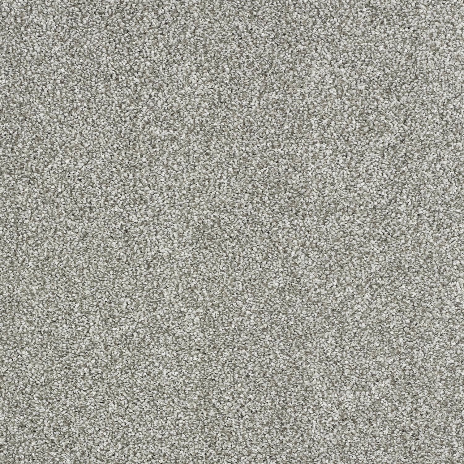 Stainfree Panache Twist Carpet - 05 Dove Grey Stainfree Panache Twist Carpet - 05 Dove Grey