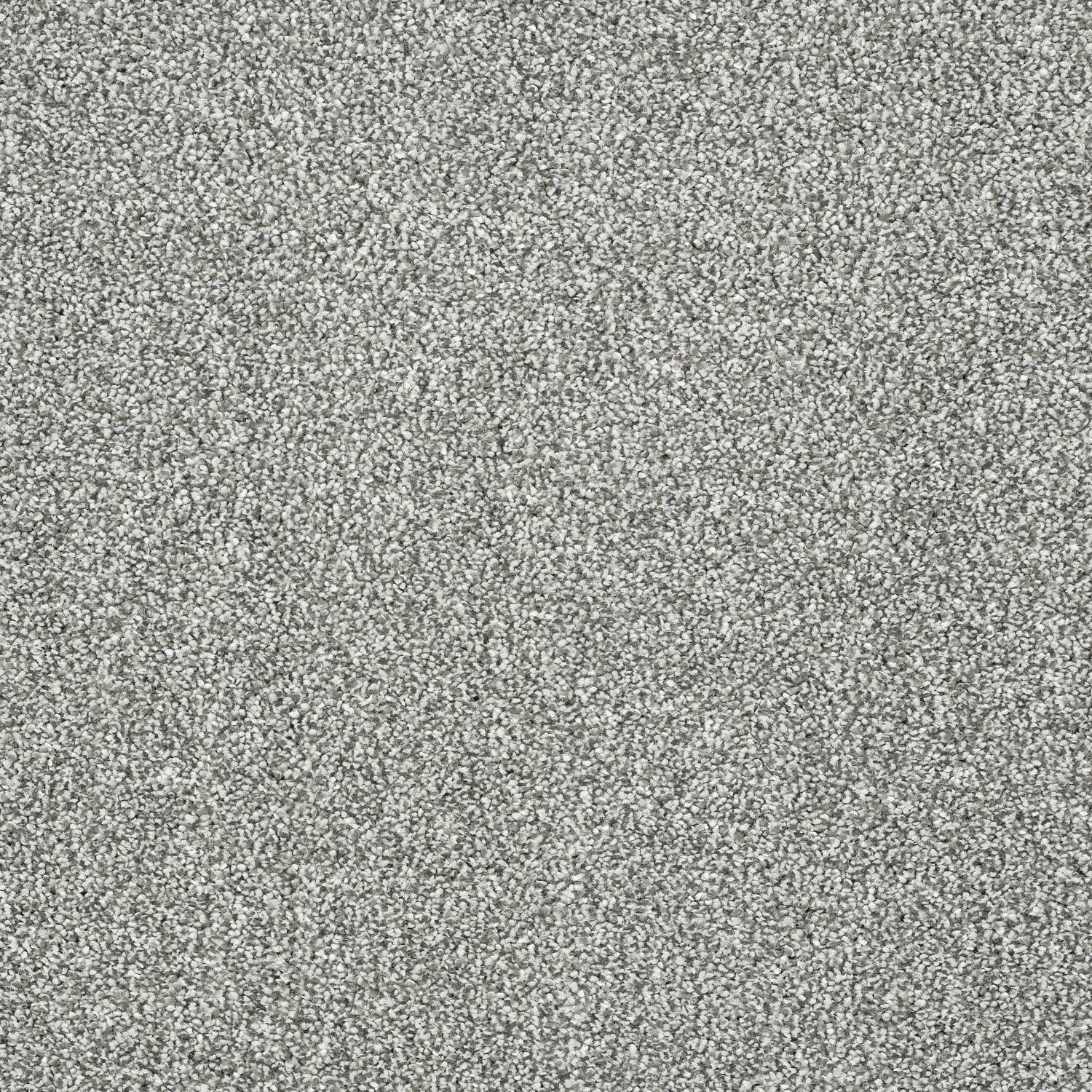 Stainfree Panache Twist Carpet - 06 Silver Dollar