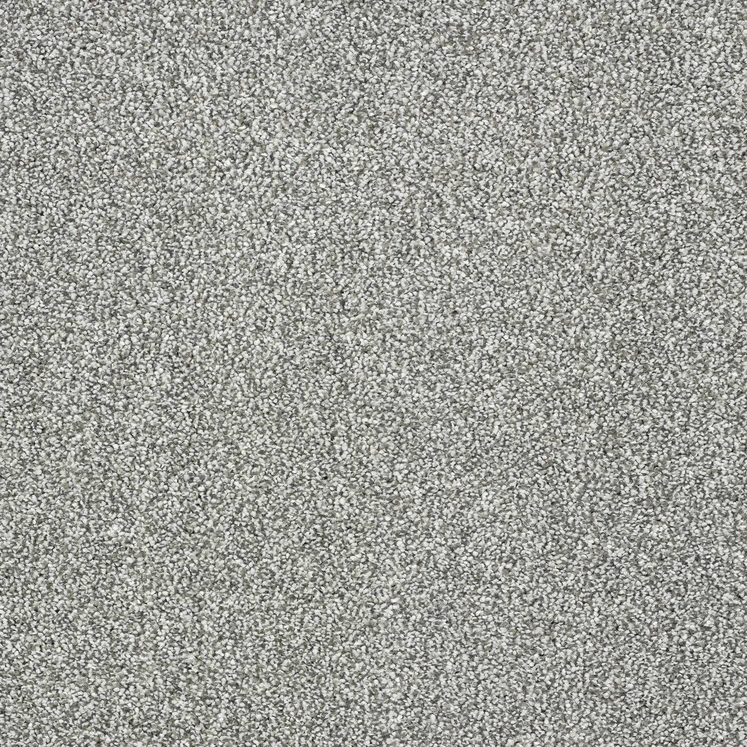 Stainfree Panache Twist Carpet - 06 Silver Dollar Stainfree Panache Twist Carpet - 06 Silver Dollar