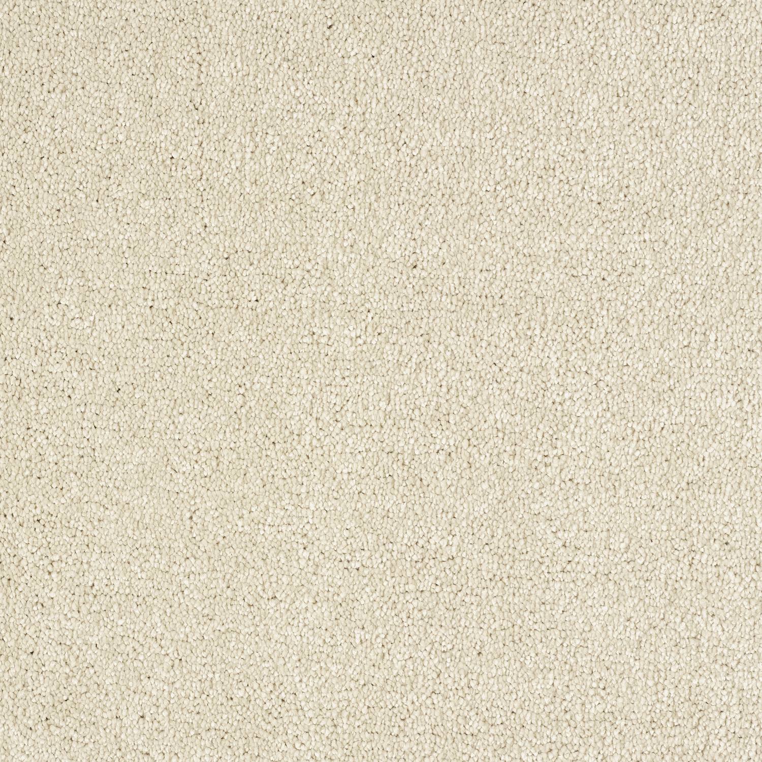 Stainfree Panache Twist Carpet - 16 Soft Honey