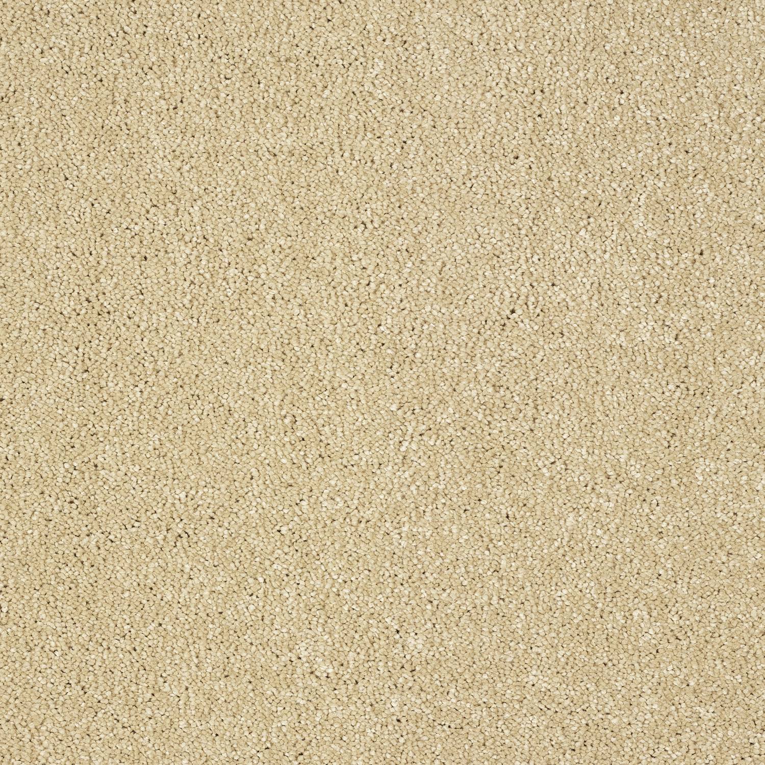 Stainfree Panache Twist Carpet - 17 Sea Shell Stainfree Panache Twist Carpet - 17 Sea Shell