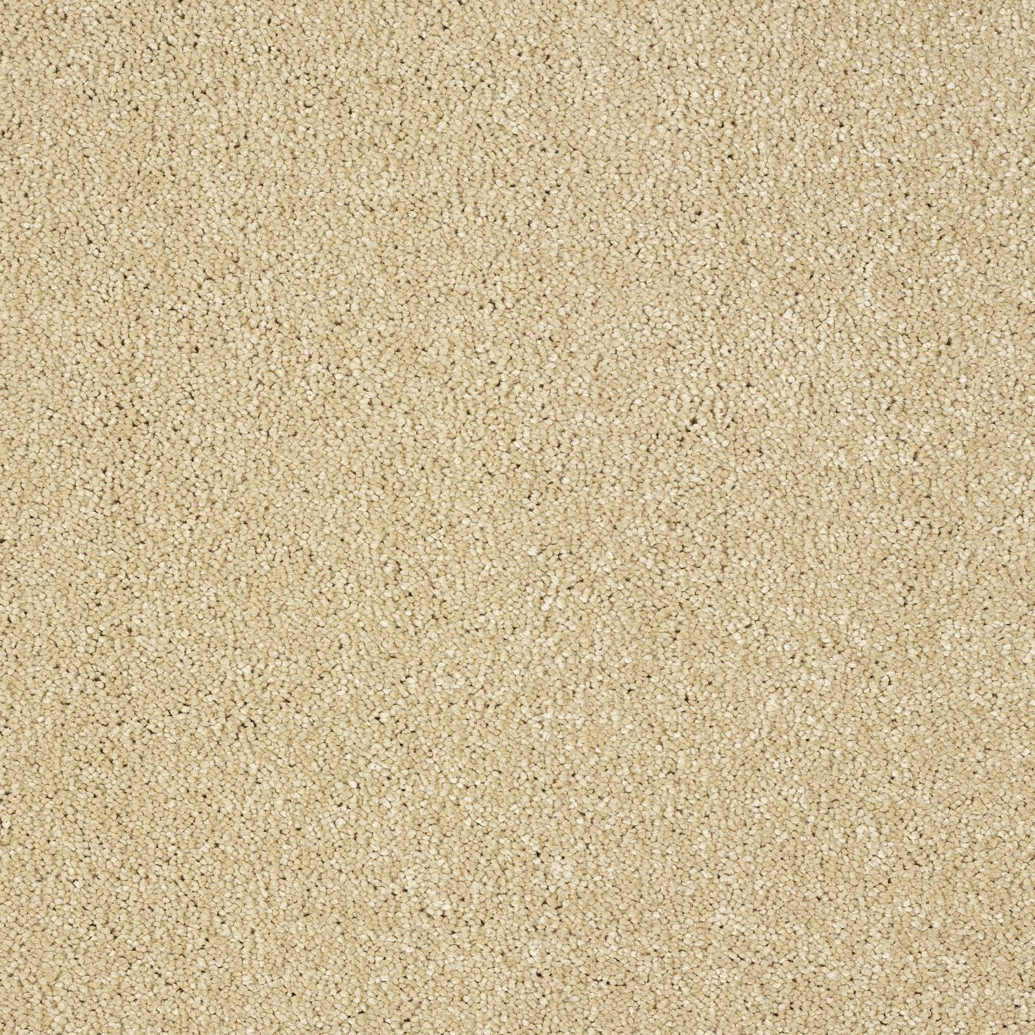 Stainfree Panache Twist Carpet - 17 Sea Shell