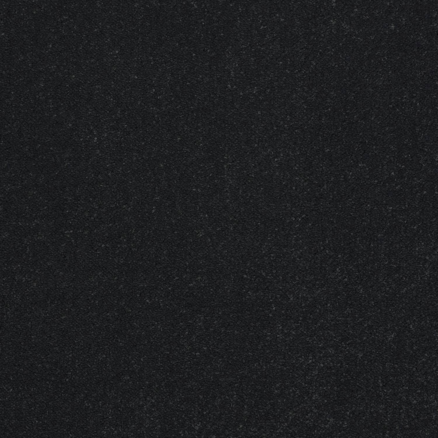 Stainfree Pure Elegance Soft Twist Carpet - Black Raven Stainfree Pure Elegance Soft Twist Carpet - Black Raven