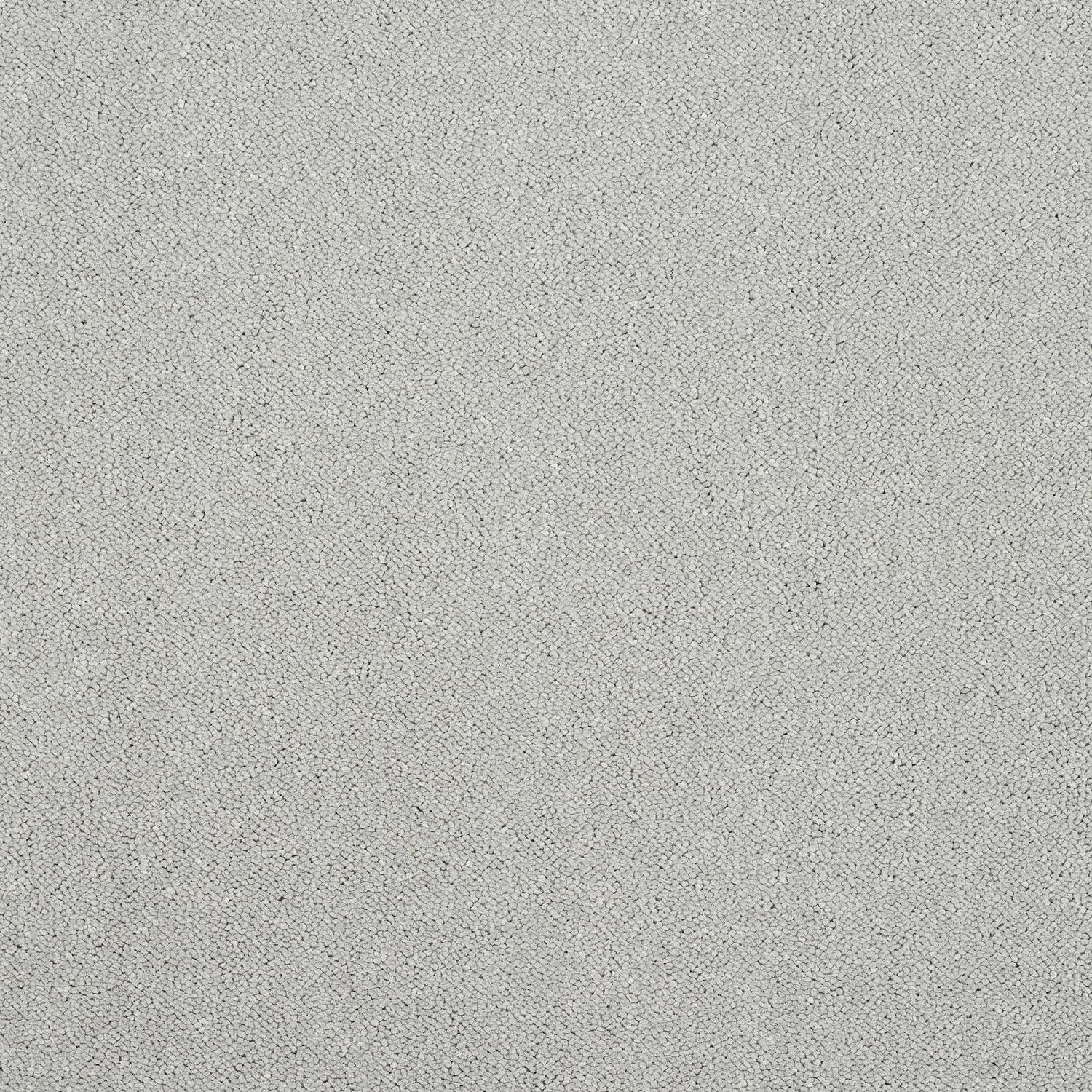 Stainfree Captivation Twist Carpet - Tundra Frost