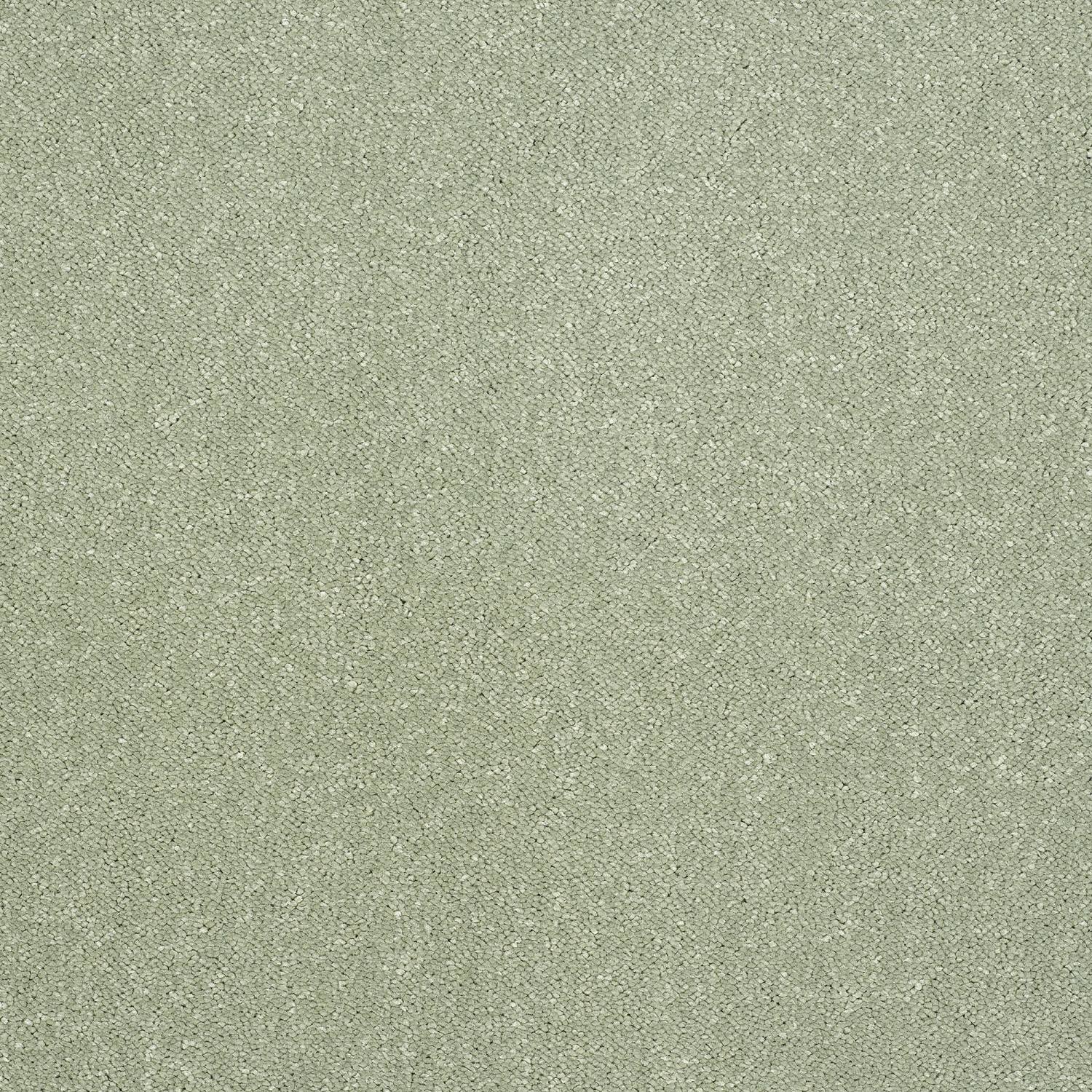 Stainfree Pure Elegance Soft Twist Carpet - Putting Green