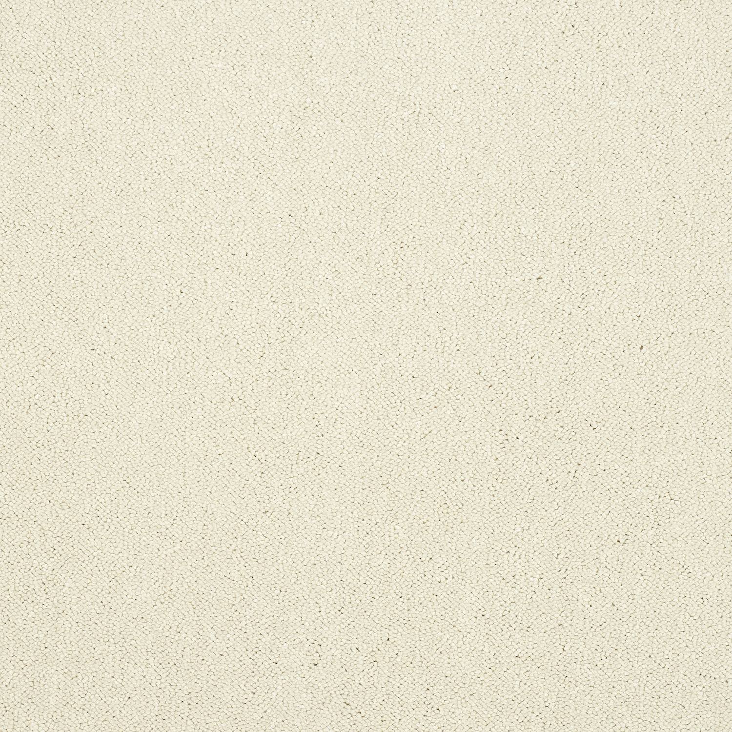 Stainfree Captivation Twist Carpet - Cloudy Dreams Stainfree Captivation Twist Carpet - Cloudy Dreams