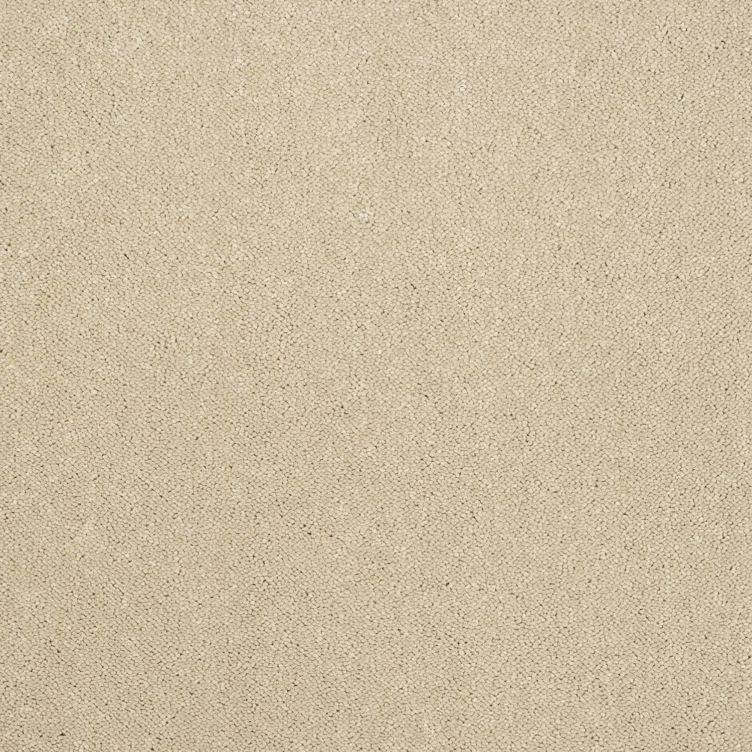 Stainfree Captivation Twist Carpet - Linen Wash