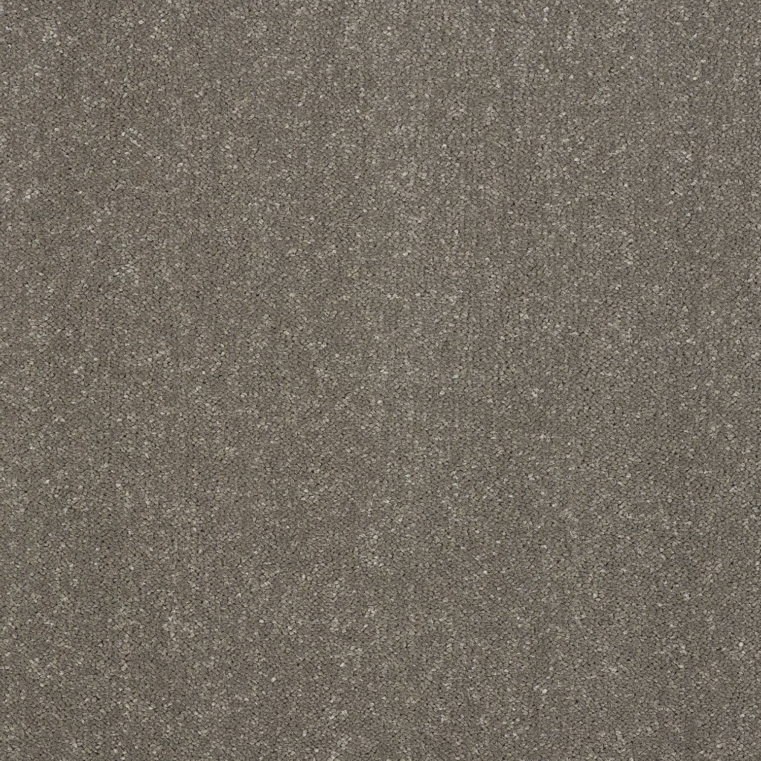 Stainfree Captivation Twist Carpet - Seneca Rock