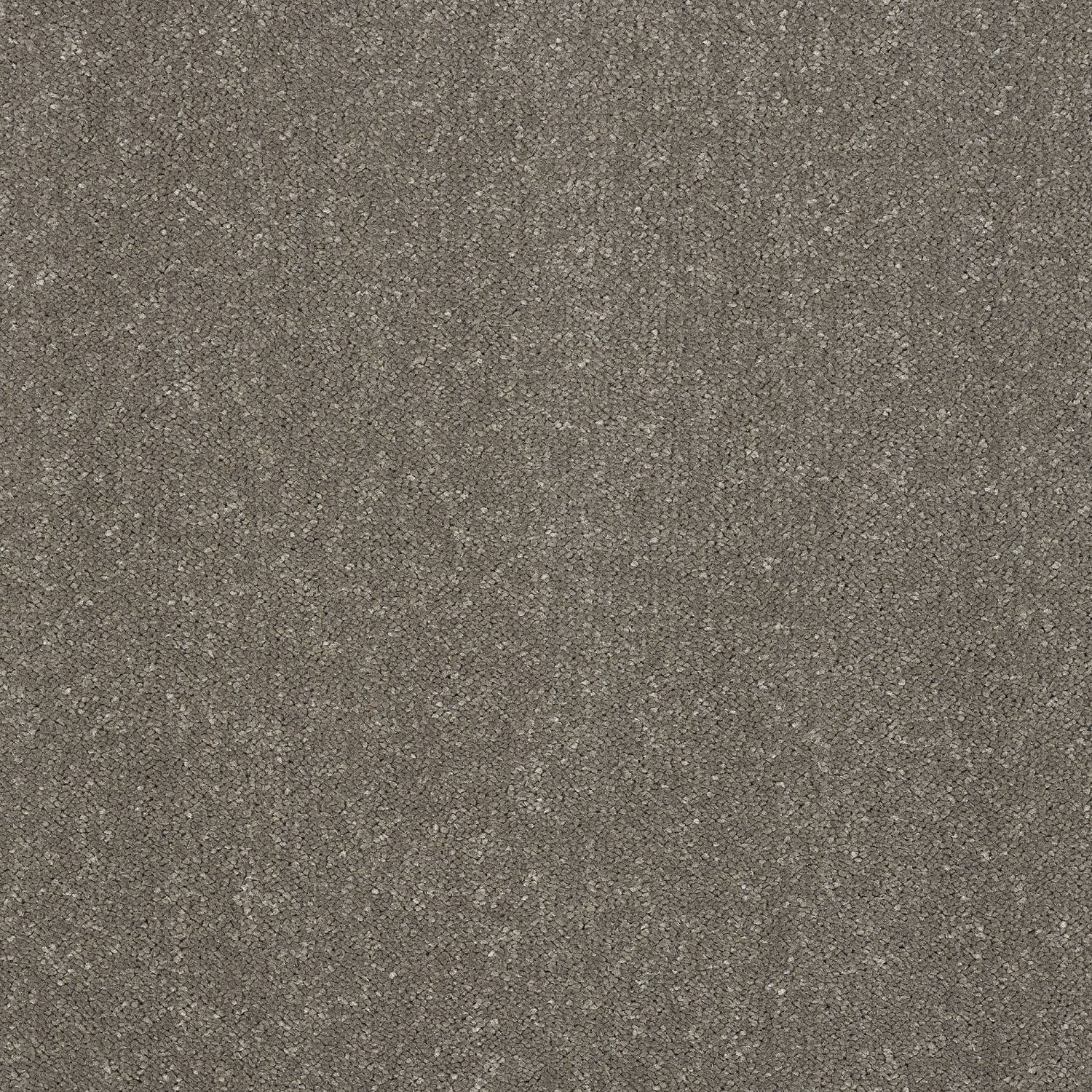 Stainfree Pure Elegance Soft Twist Carpet - Seneca Rock Stainfree Pure Elegance Soft Twist Carpet - Seneca Rock