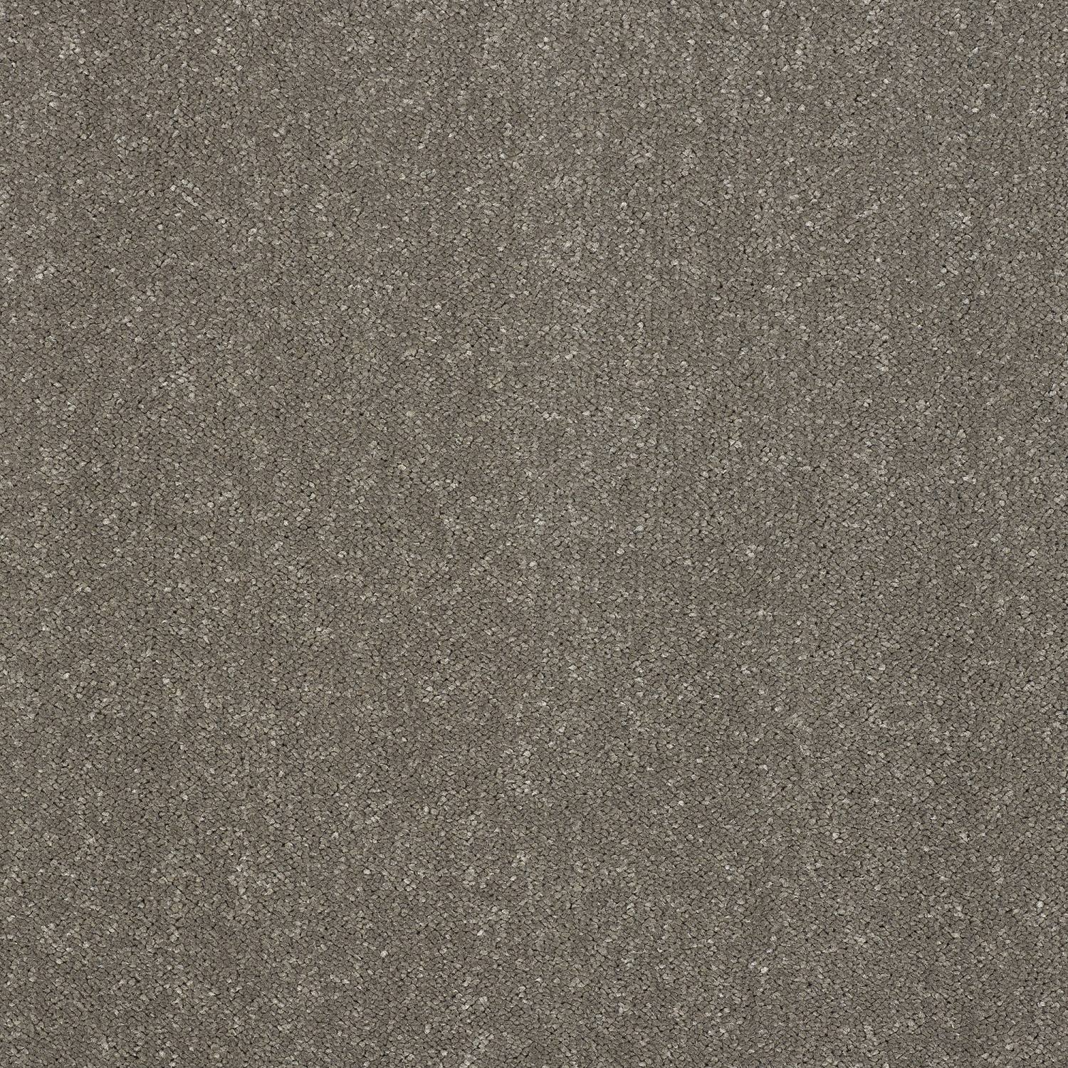 Stainfree Pure Elegance Soft Twist Carpet - Seneca Rock