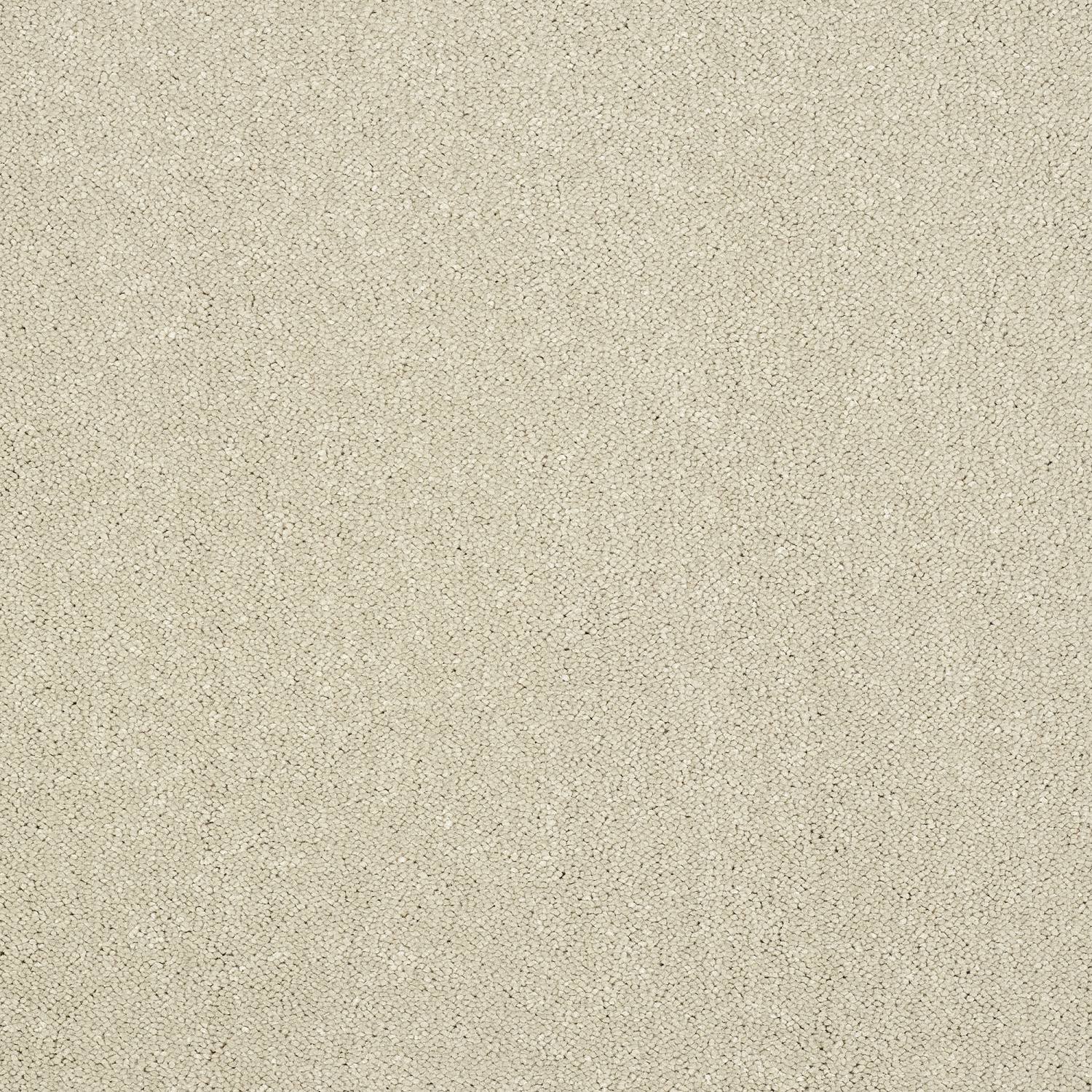 Stainfree Captivation Twist Carpet - Turtle Dove Stainfree Captivation Twist Carpet - Turtle Dove