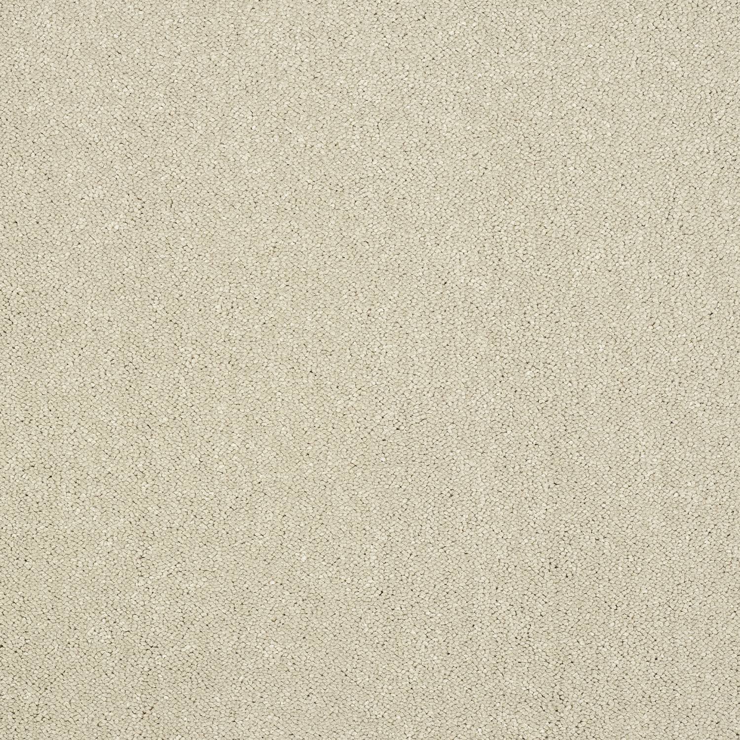 Stainfree Pure Elegance Soft Twist Carpet - Turtle Dove