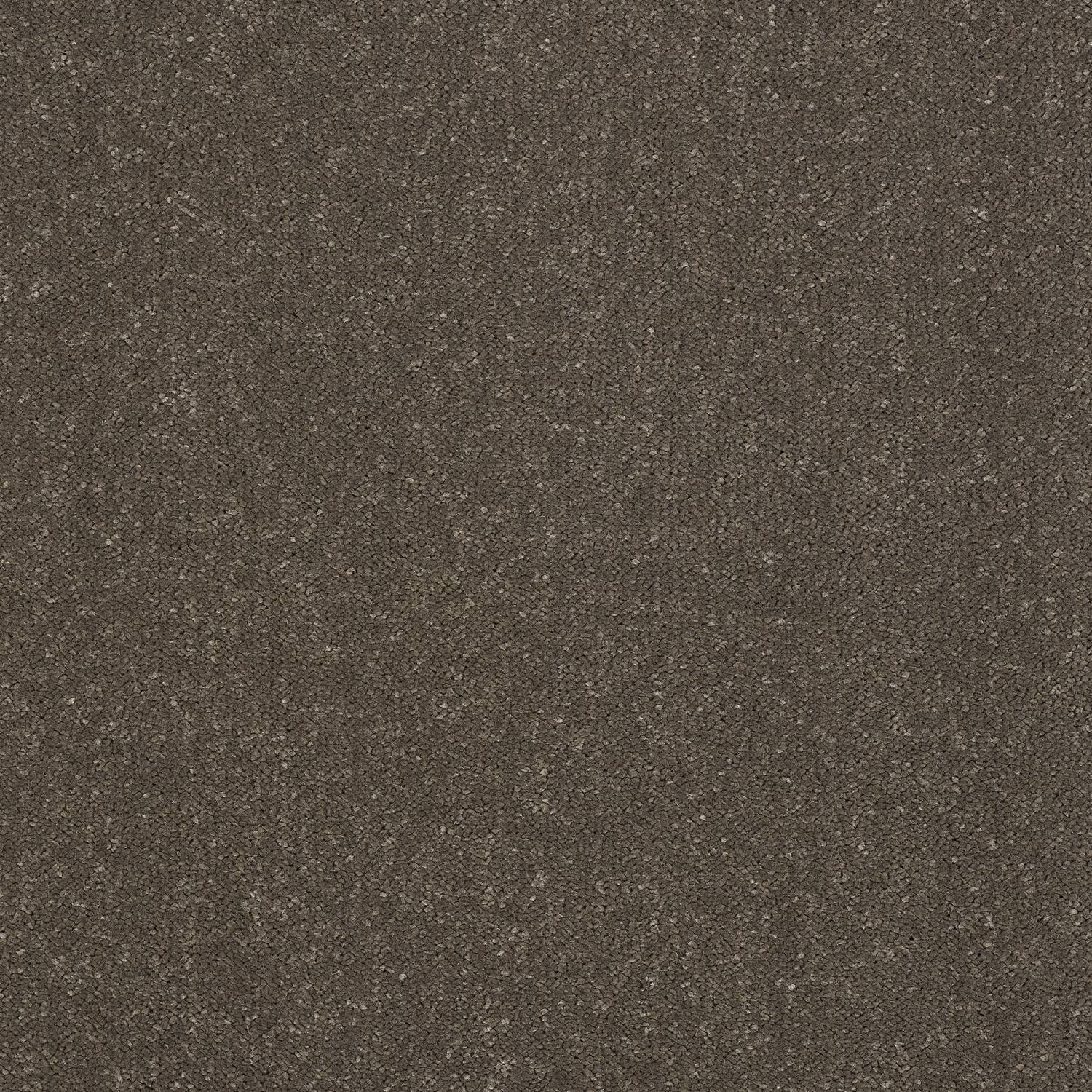 Stainfree Captivation Twist Carpet - Pentland