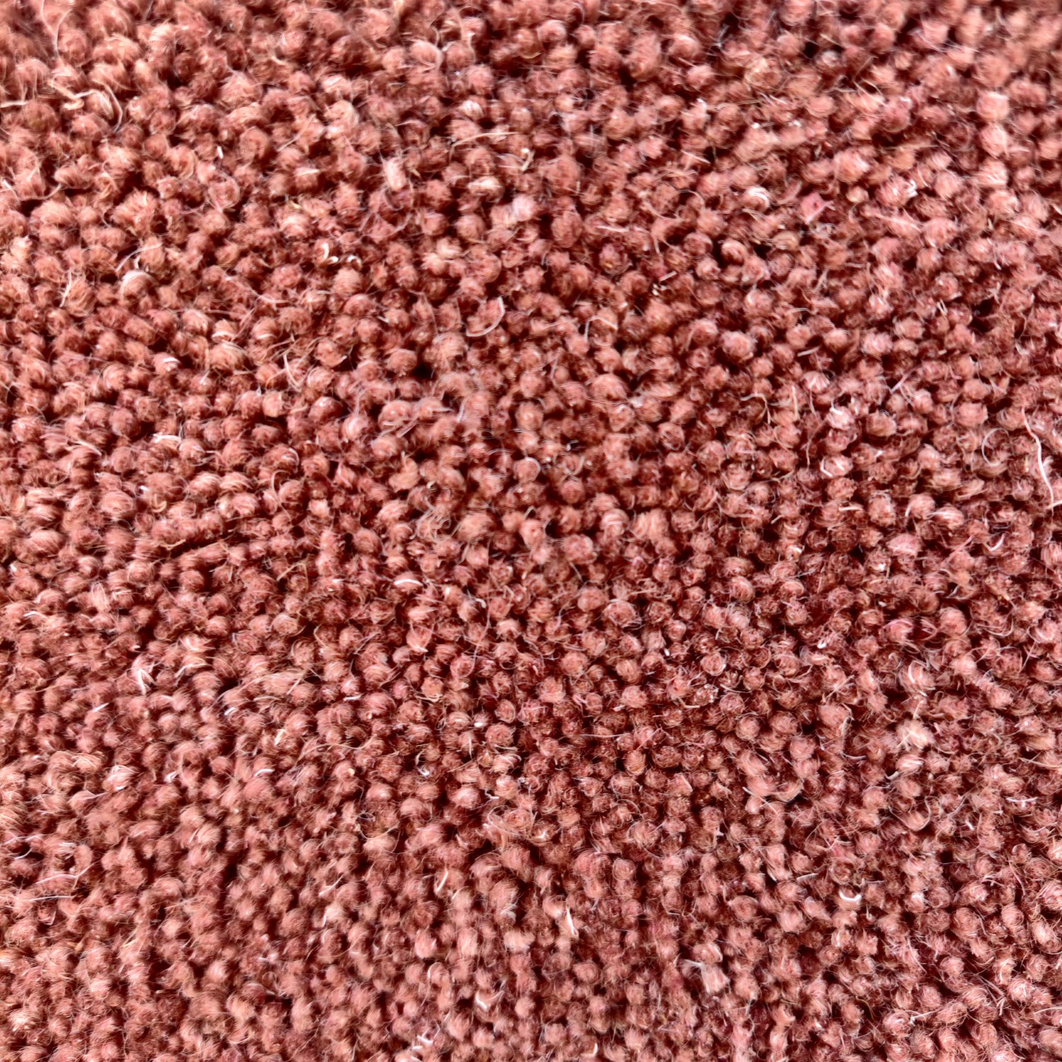 Venetian Wool Twist Carpet - Red