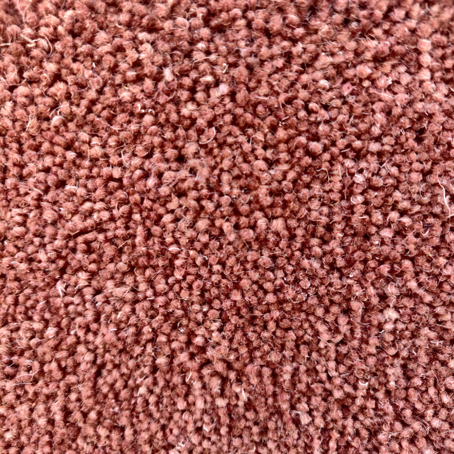 Venetian Wool Twist Carpet - Red Venetian Wool Twist Carpet - Red