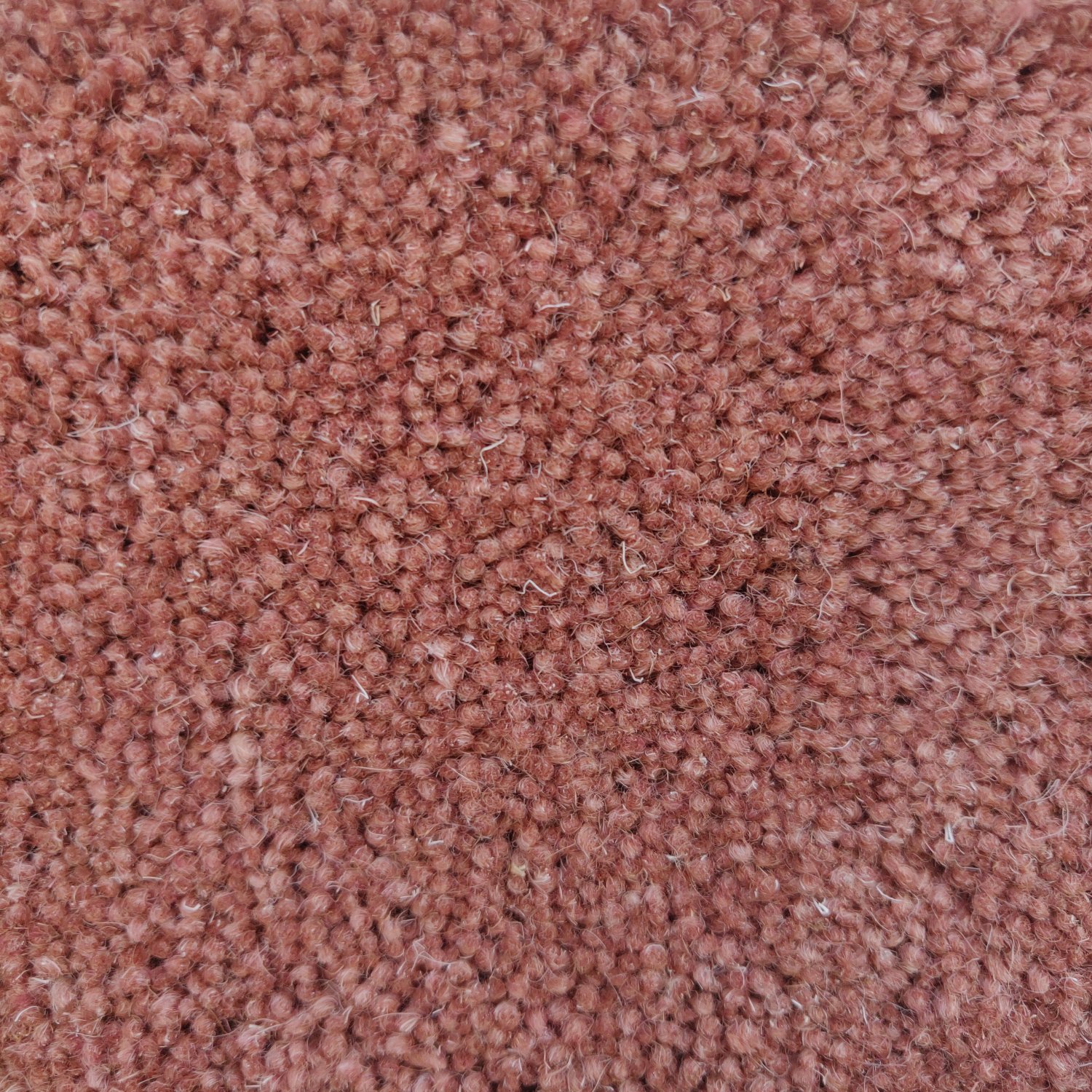 Venetian Wool Twist Carpet - Red