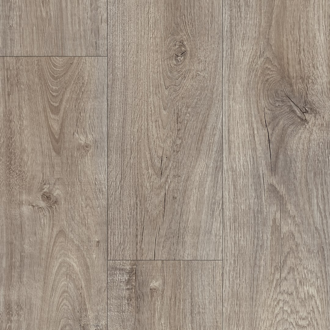 Forest Woods Vinyl - Helsinki Grey 585 Forest Woods Vinyl - Helsinki Grey 585