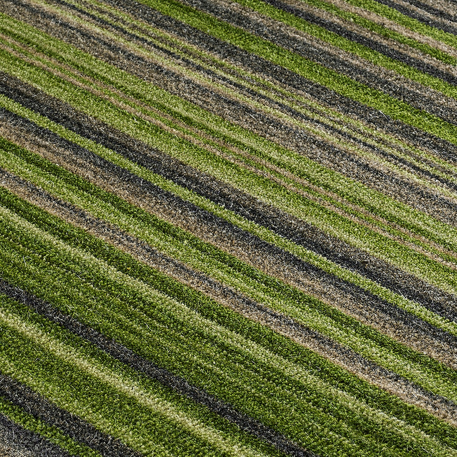 Carter Striped Rug - Green