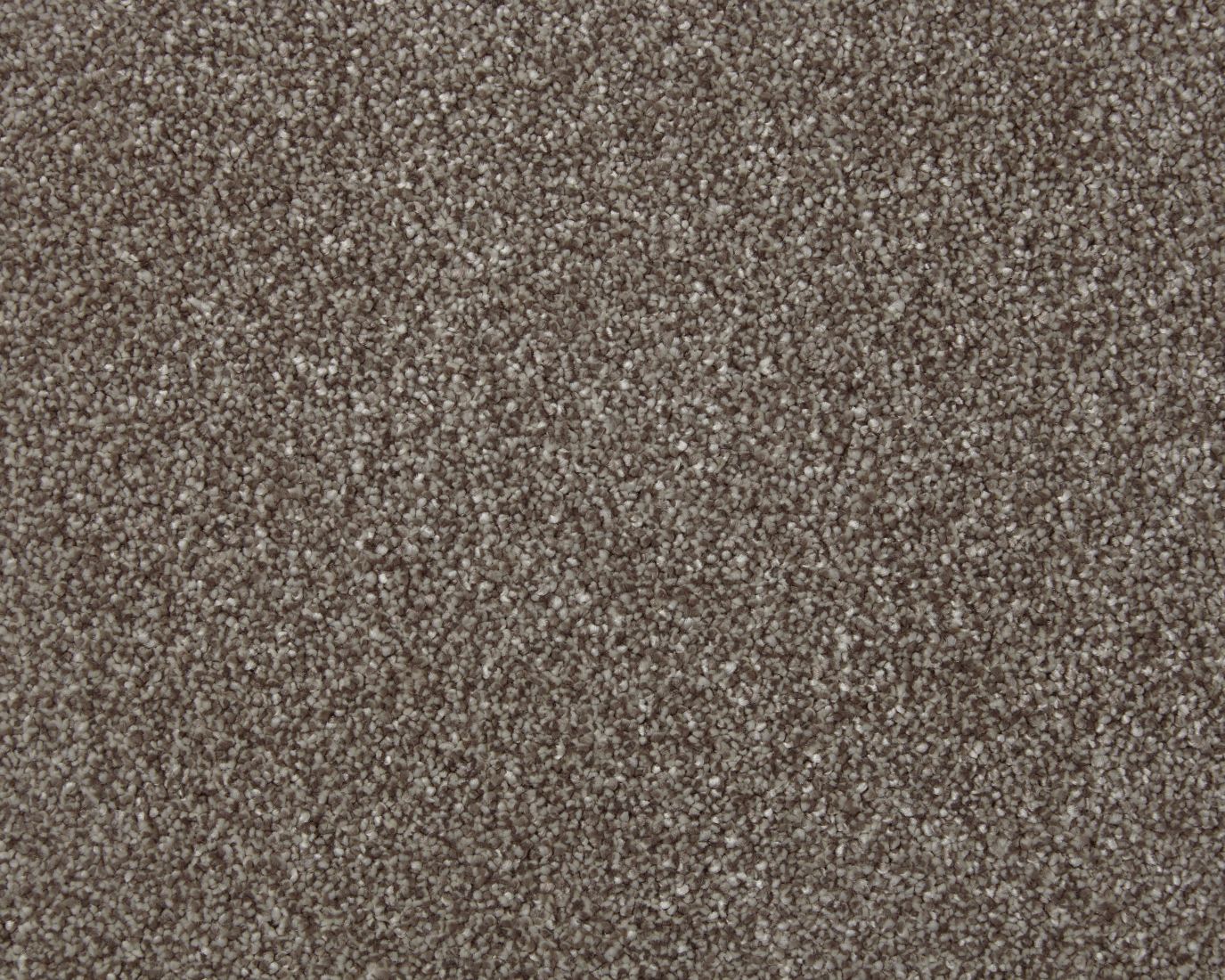 Amorous Super Soft Dense Saxony Carpet - Colorado
