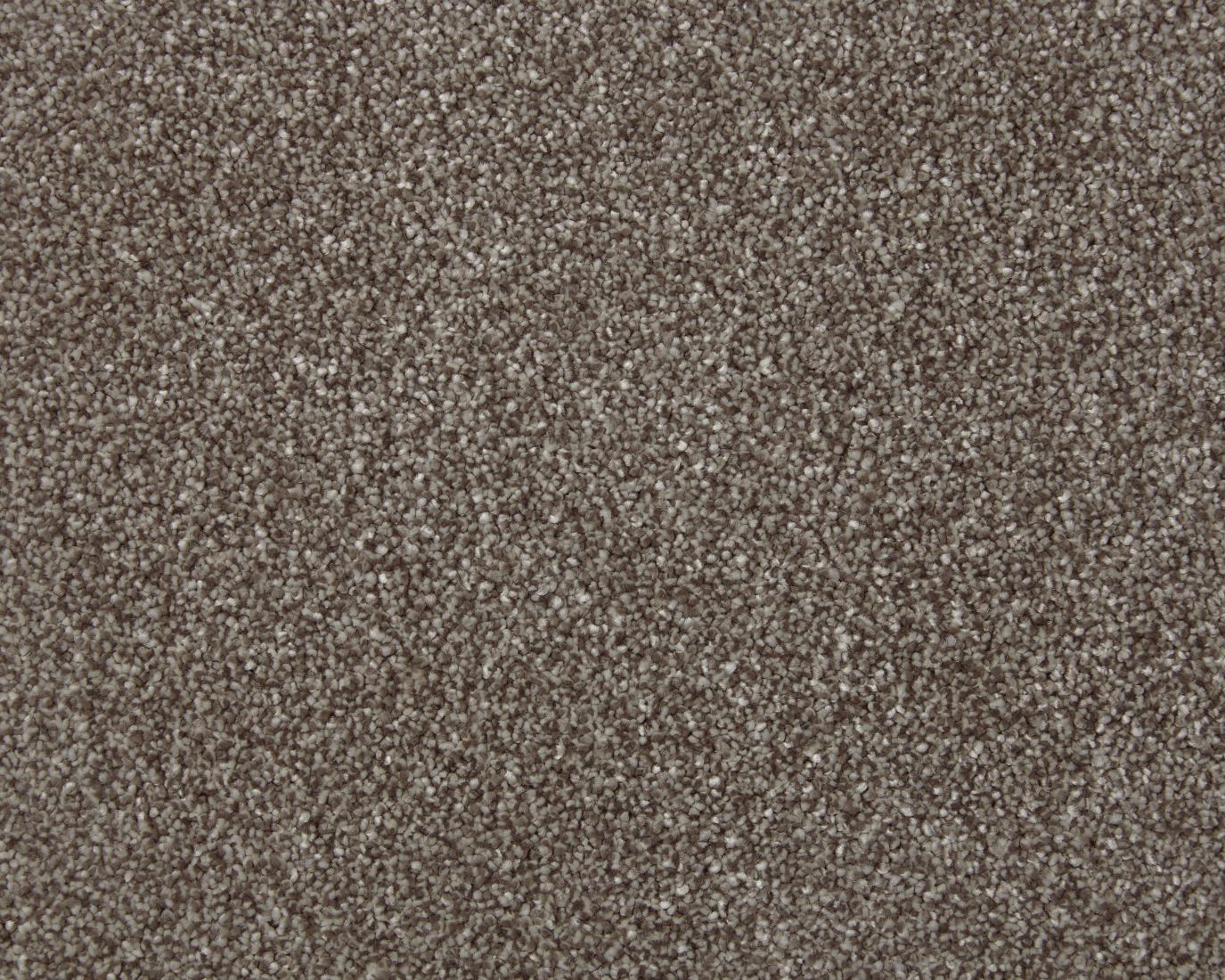 Amorous Super Soft Dense Saxony Carpet - Colorado Amorous Super Soft Dense Saxony Carpet - Colorado