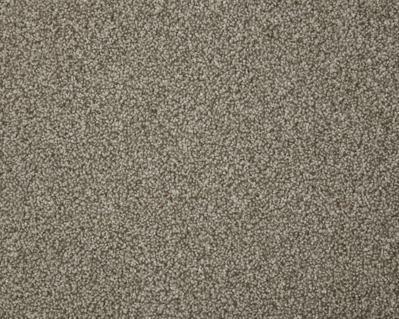 Amorous Super Soft Dense Saxony Carpet - Dunnock Amorous Super Soft Dense Saxony Carpet - Dunnock