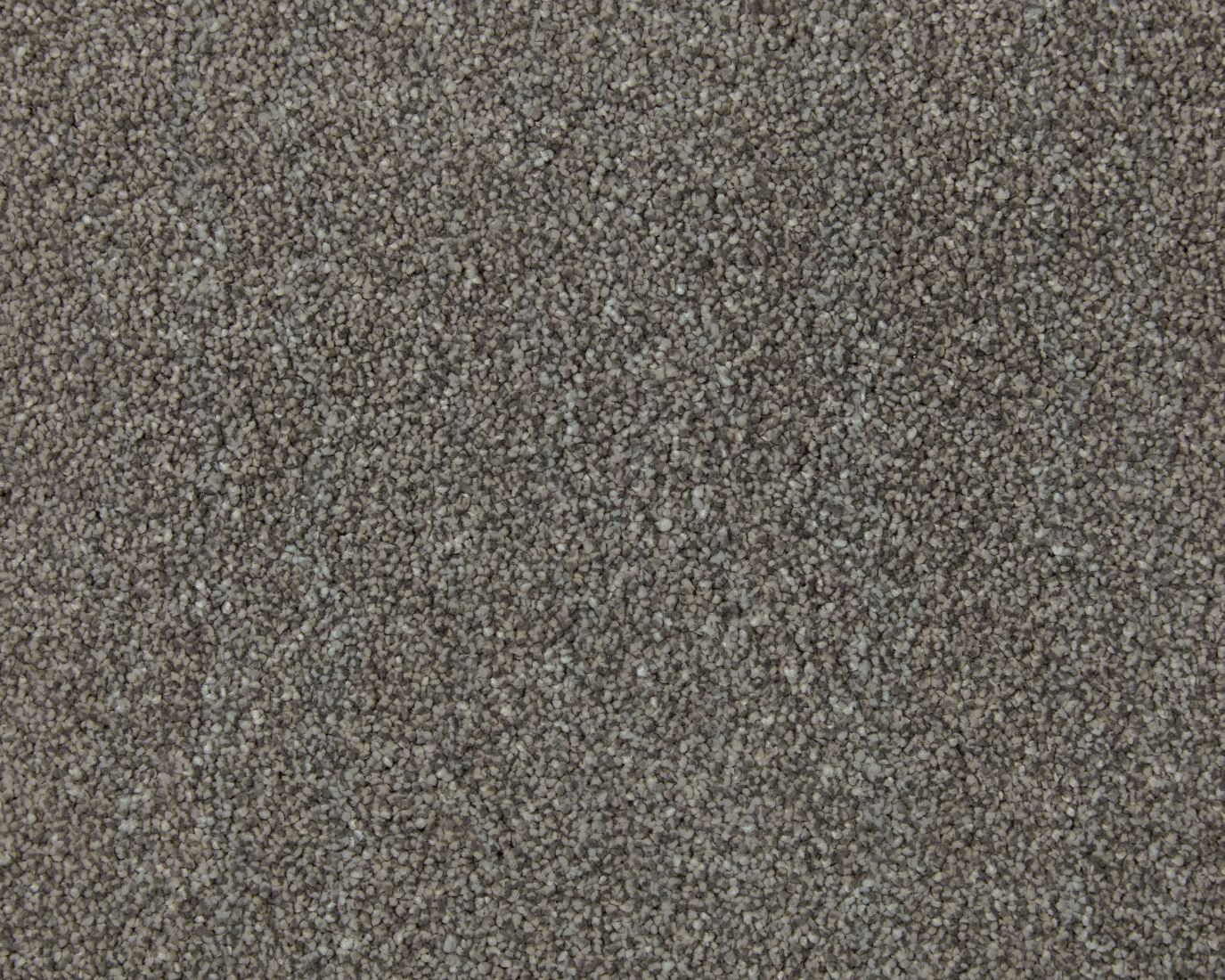 Amorous Super Soft Dense Saxony Carpet - Magyar